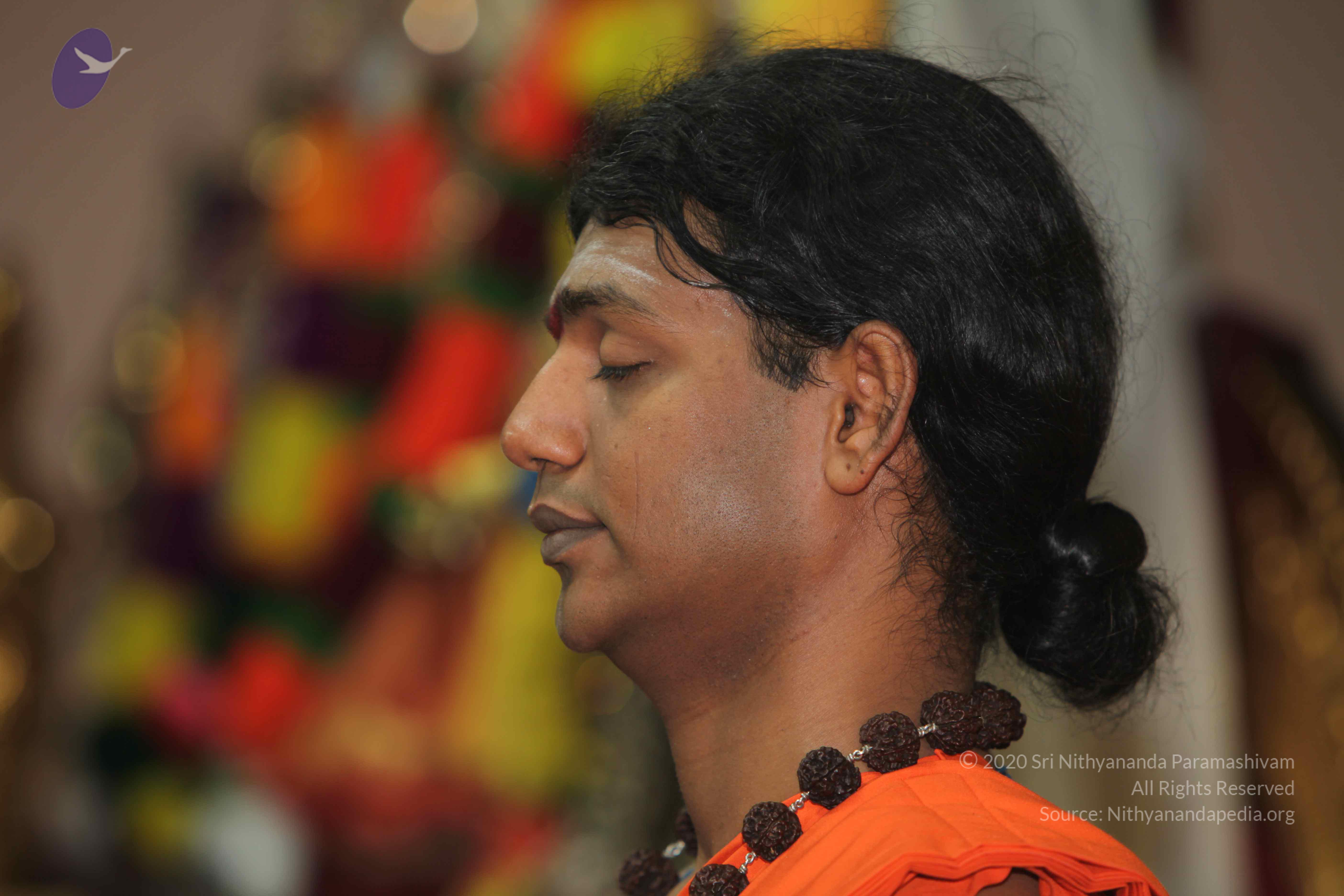 20101119_Photo_1105_IMG_8889_CMP_WM