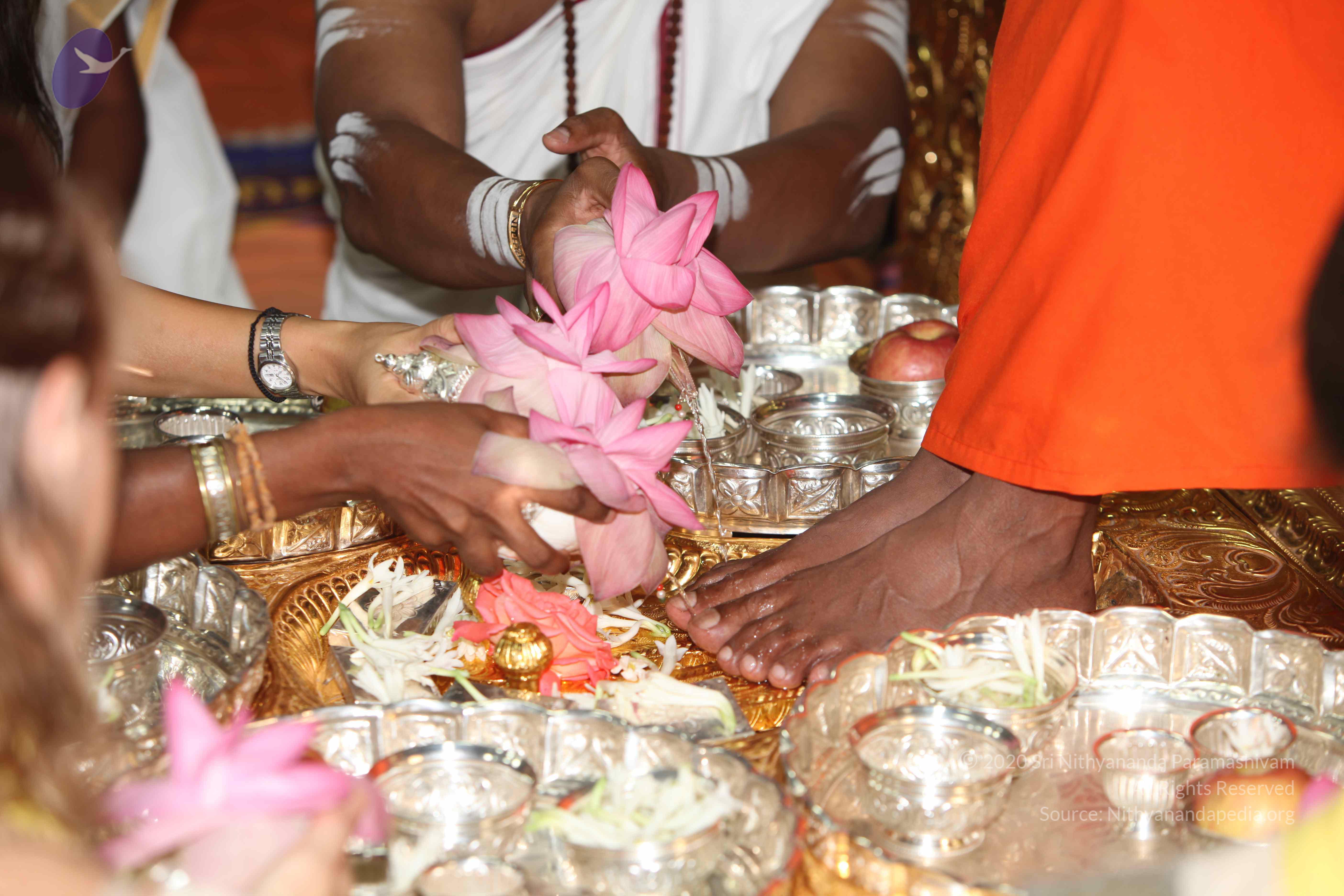 20101119_Photo_1109_IMG_8895_CMP_WM