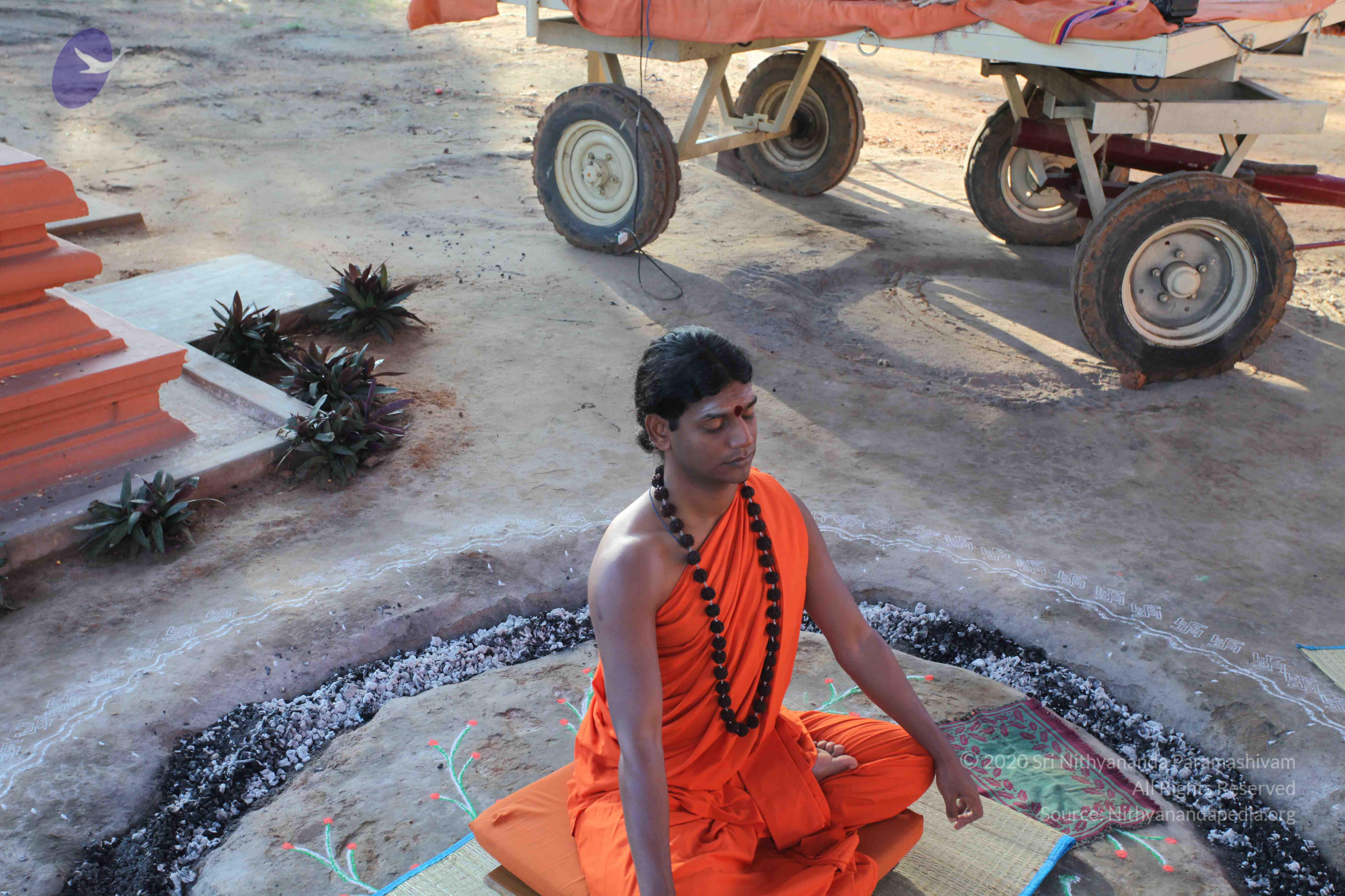 20101119_Photo_1116_IMG_8844_CMP_WM