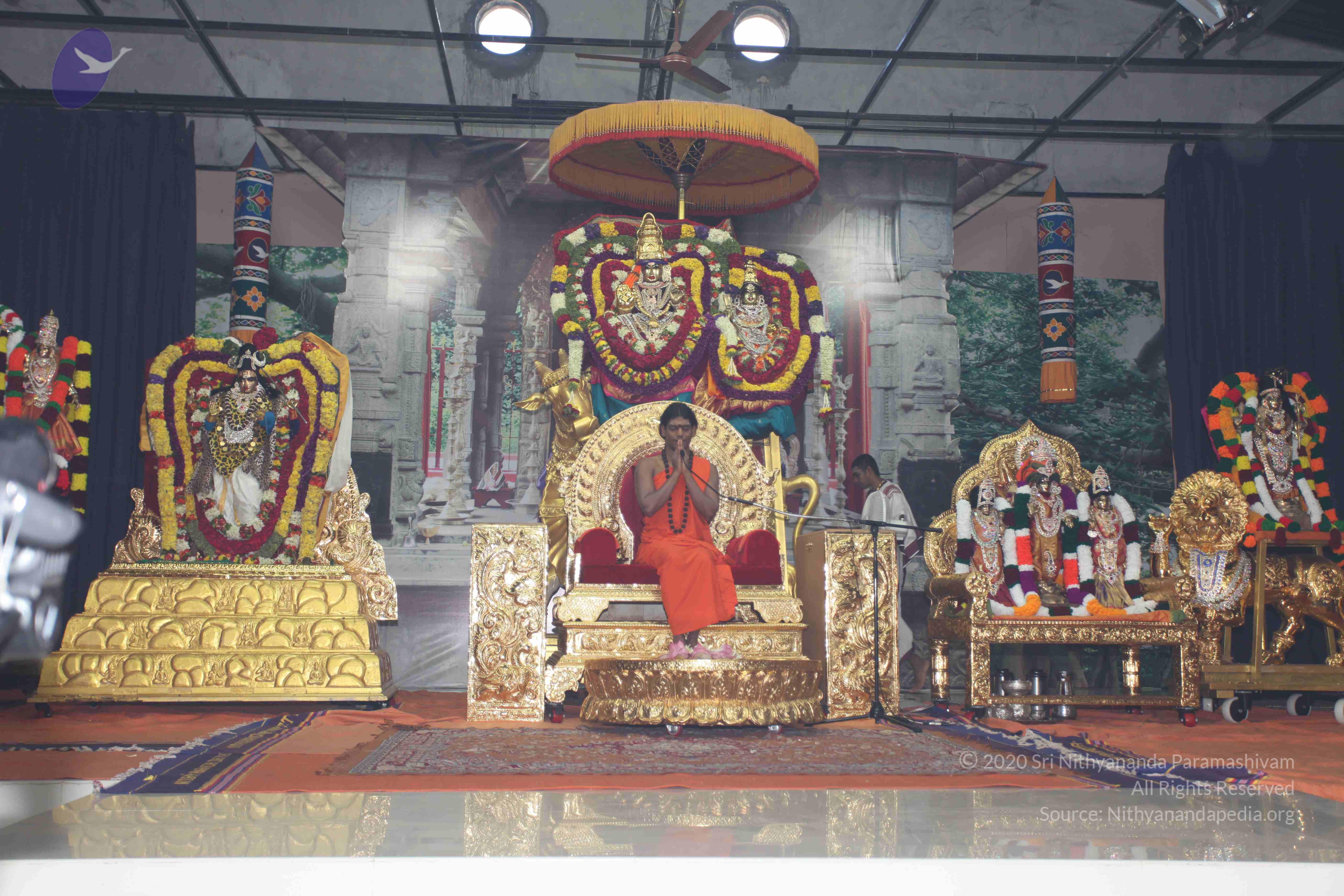 20101119_Photo_1117_IMG_9016_CMP_WM