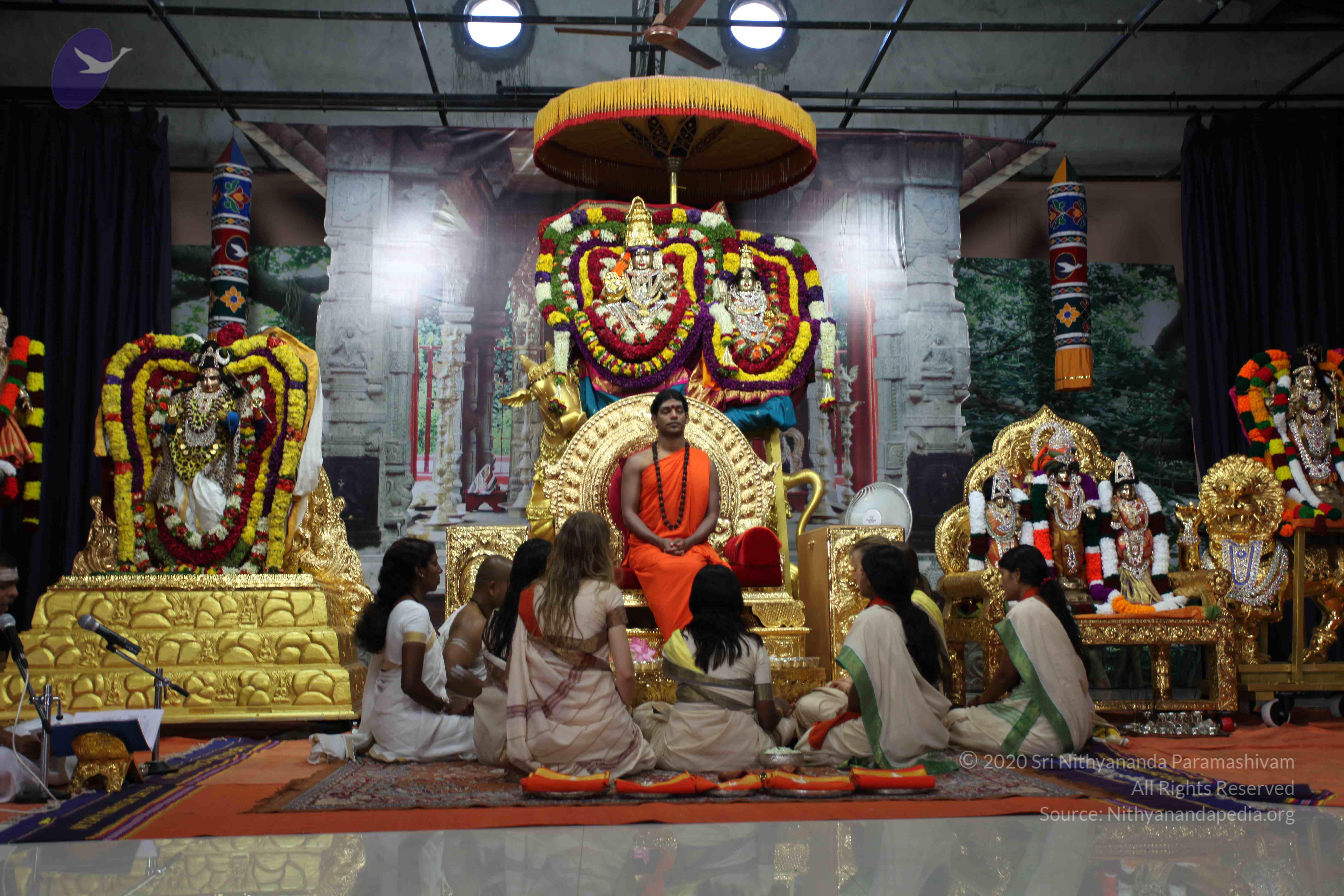 20101119_Photo_1126_IMG_8862_CMP_WM