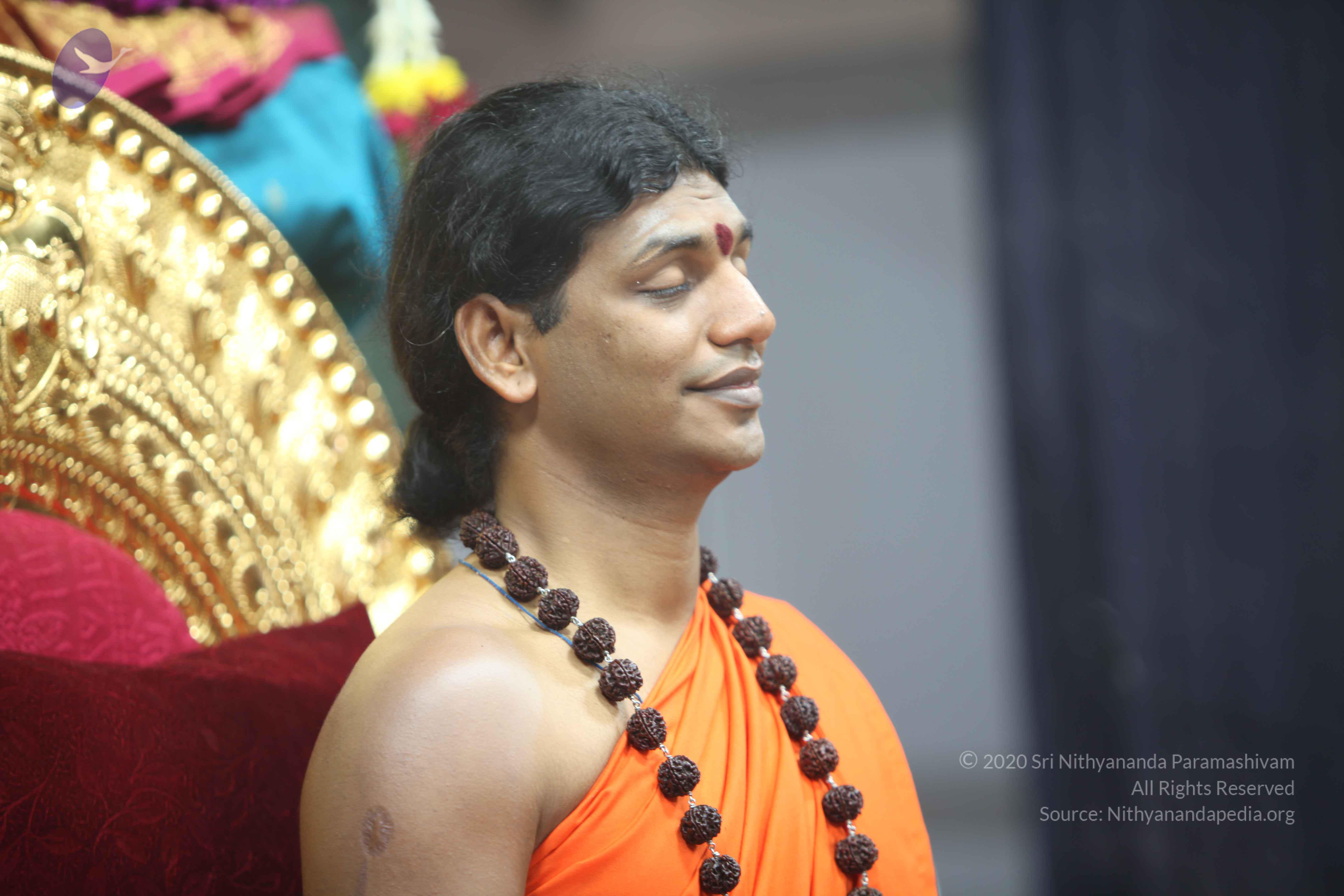 20101119_Photo_1129_IMG_8946_CMP_WM