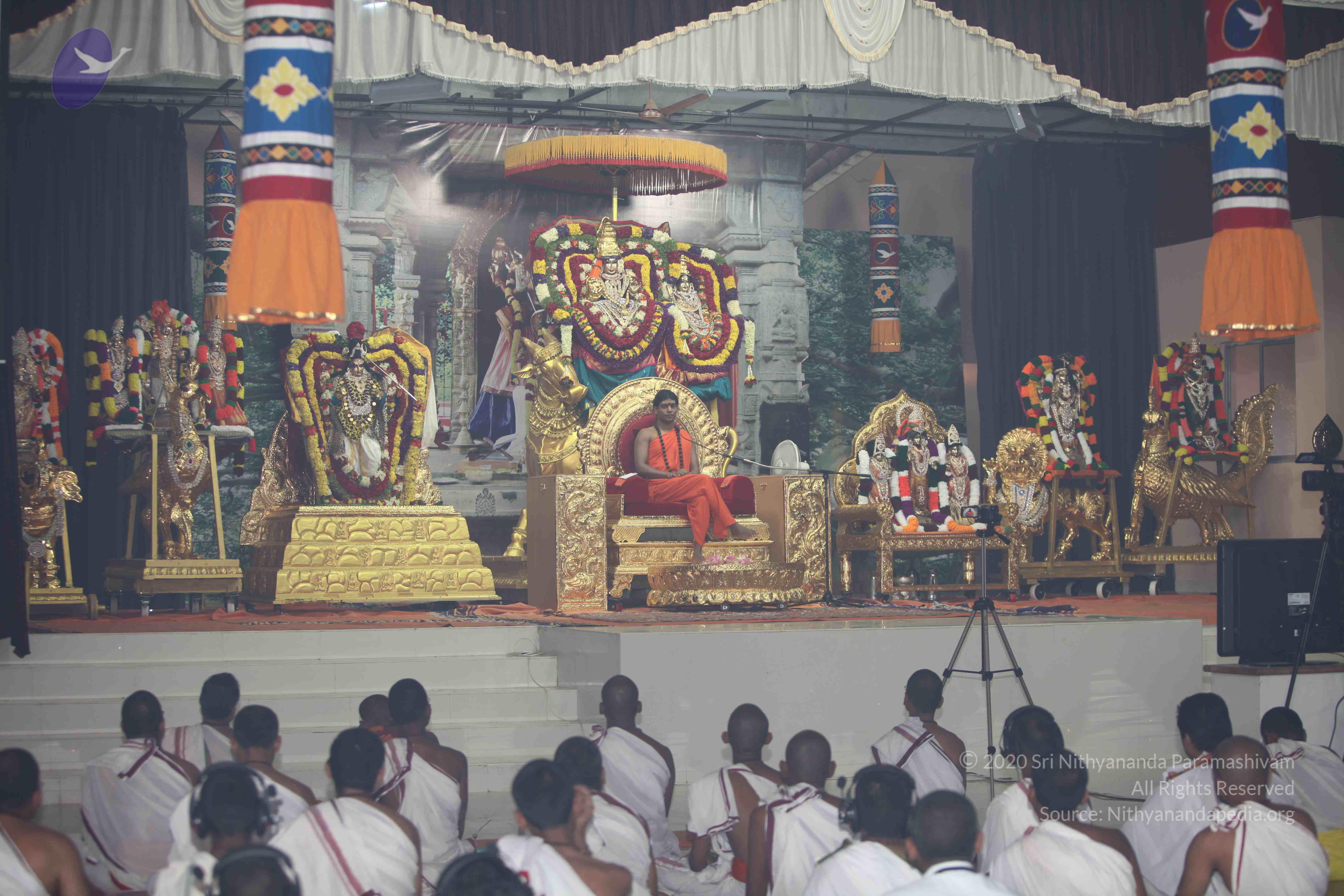 20101119_Photo_1130_IMG_8971_CMP_WM