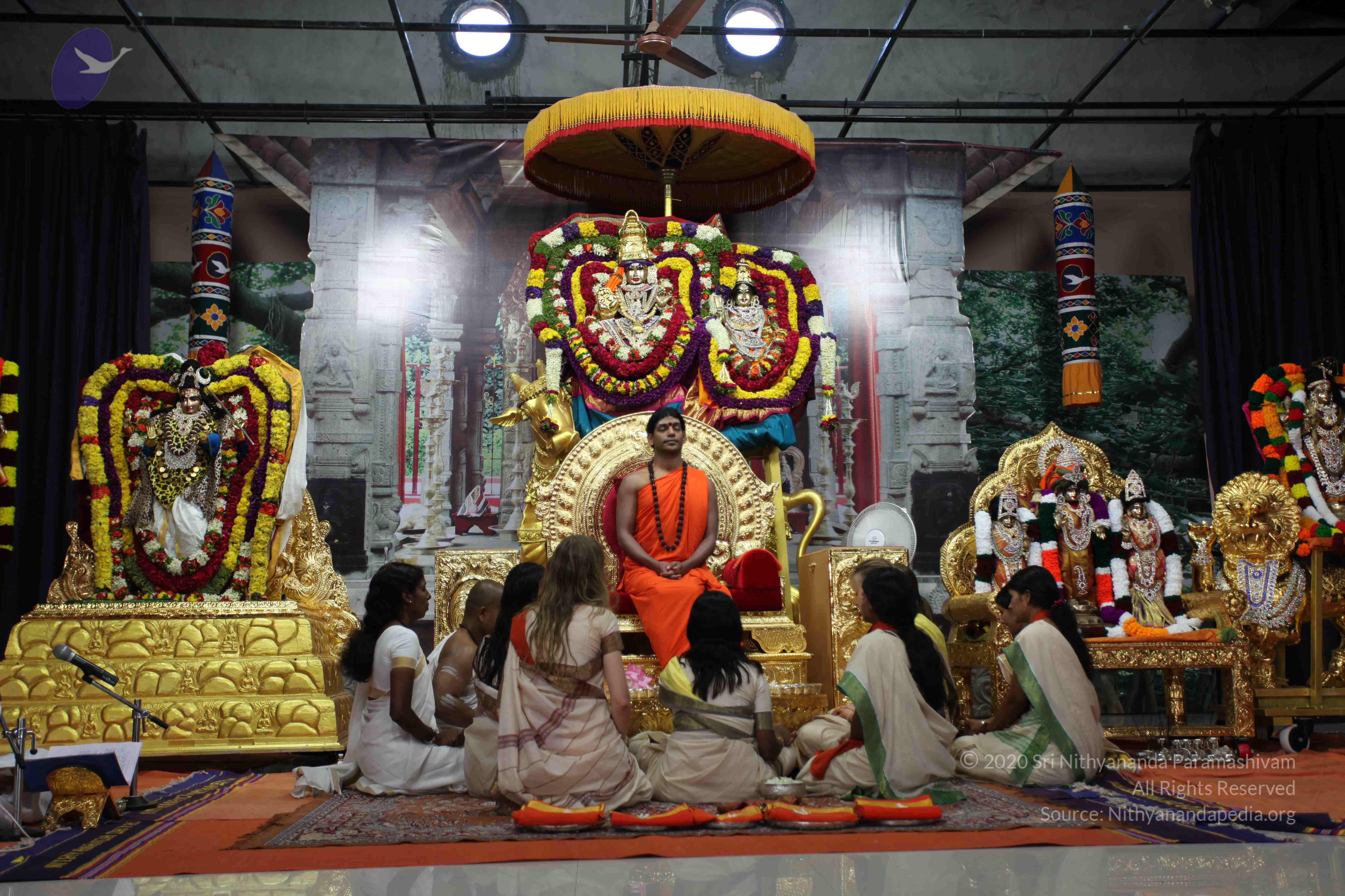 20101119_Photo_1132_IMG_8865_CMP_WM