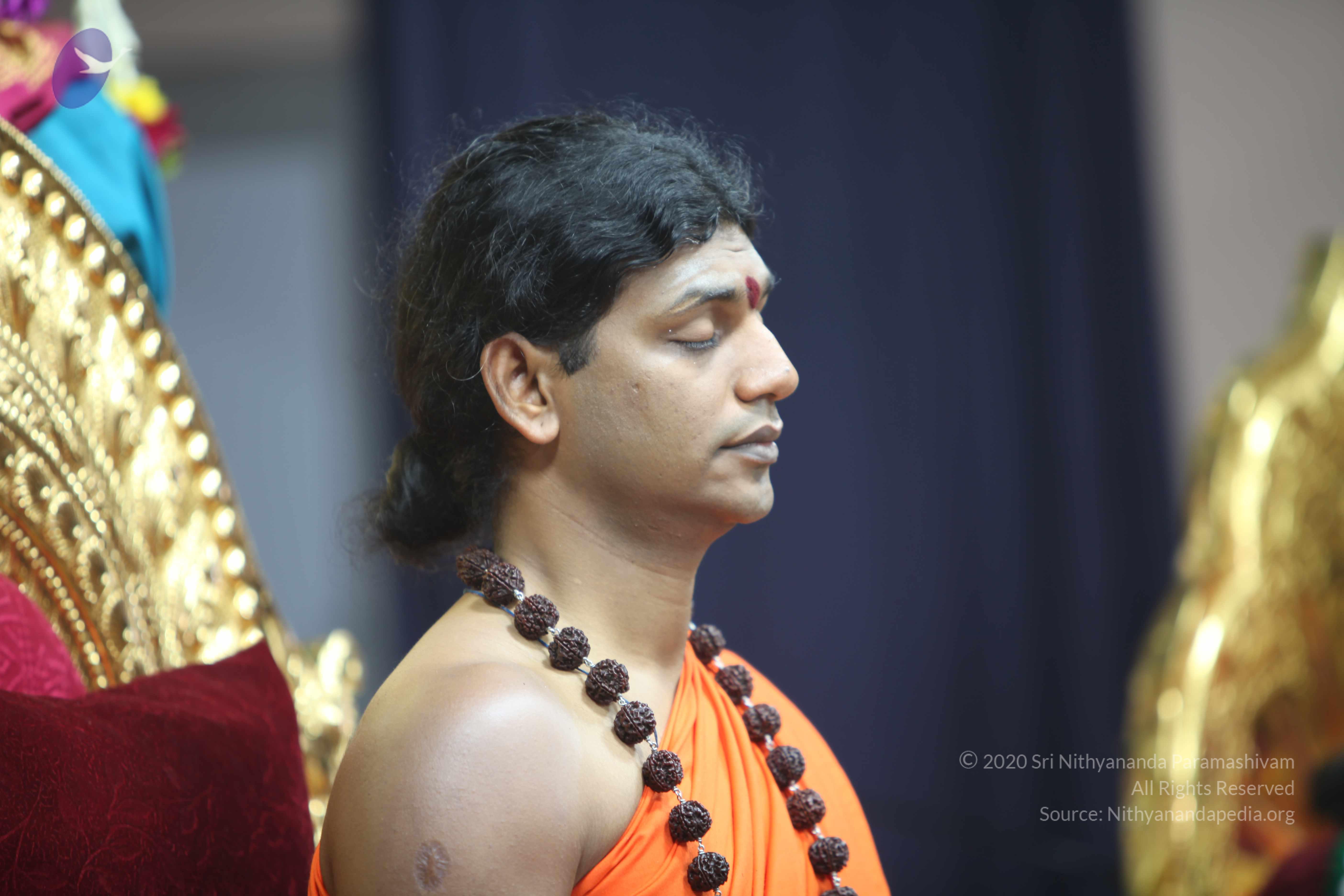 20101119_Photo_1133_IMG_8924_CMP_WM