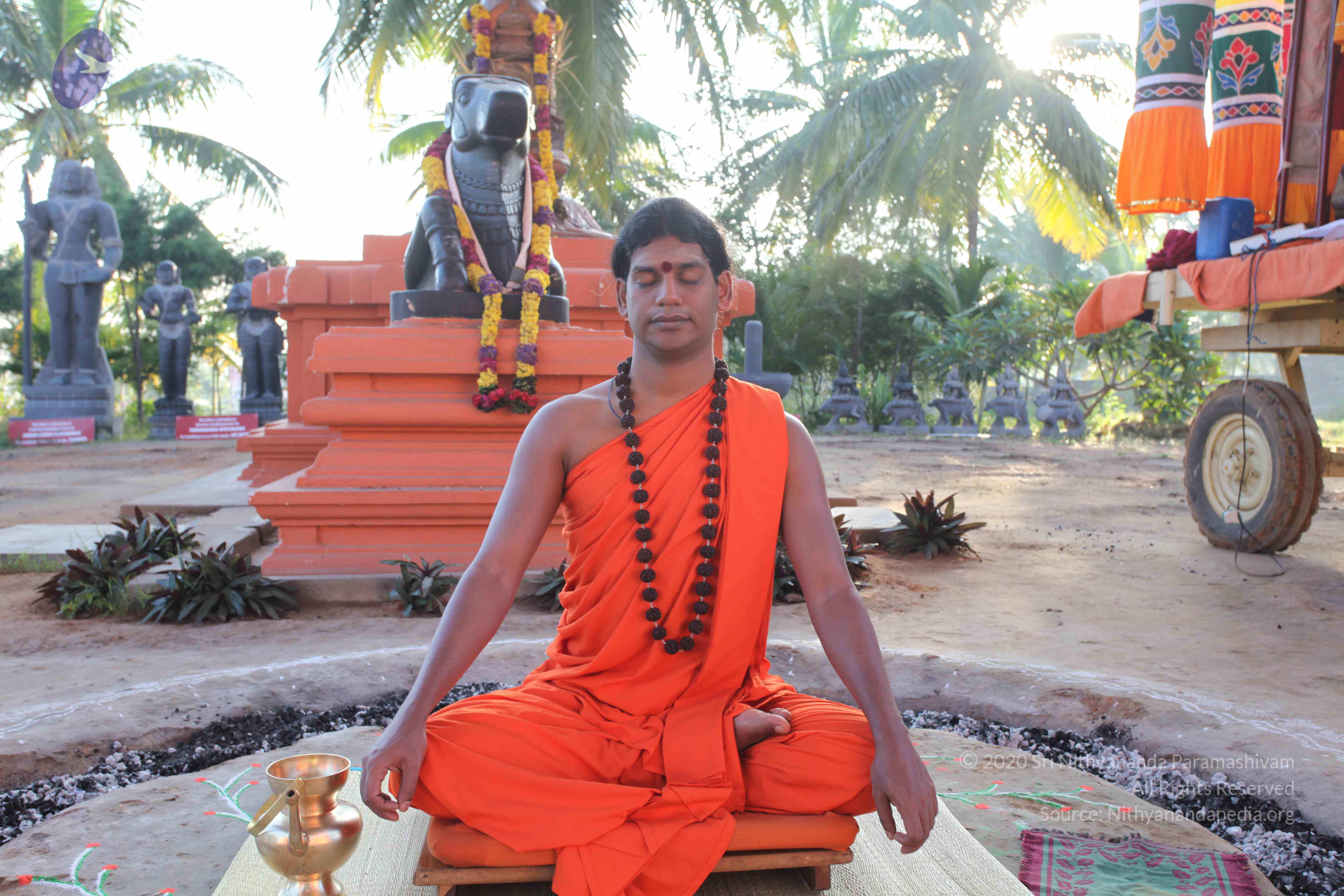 20101119_Photo_1136_IMG_8807_CMP_WM