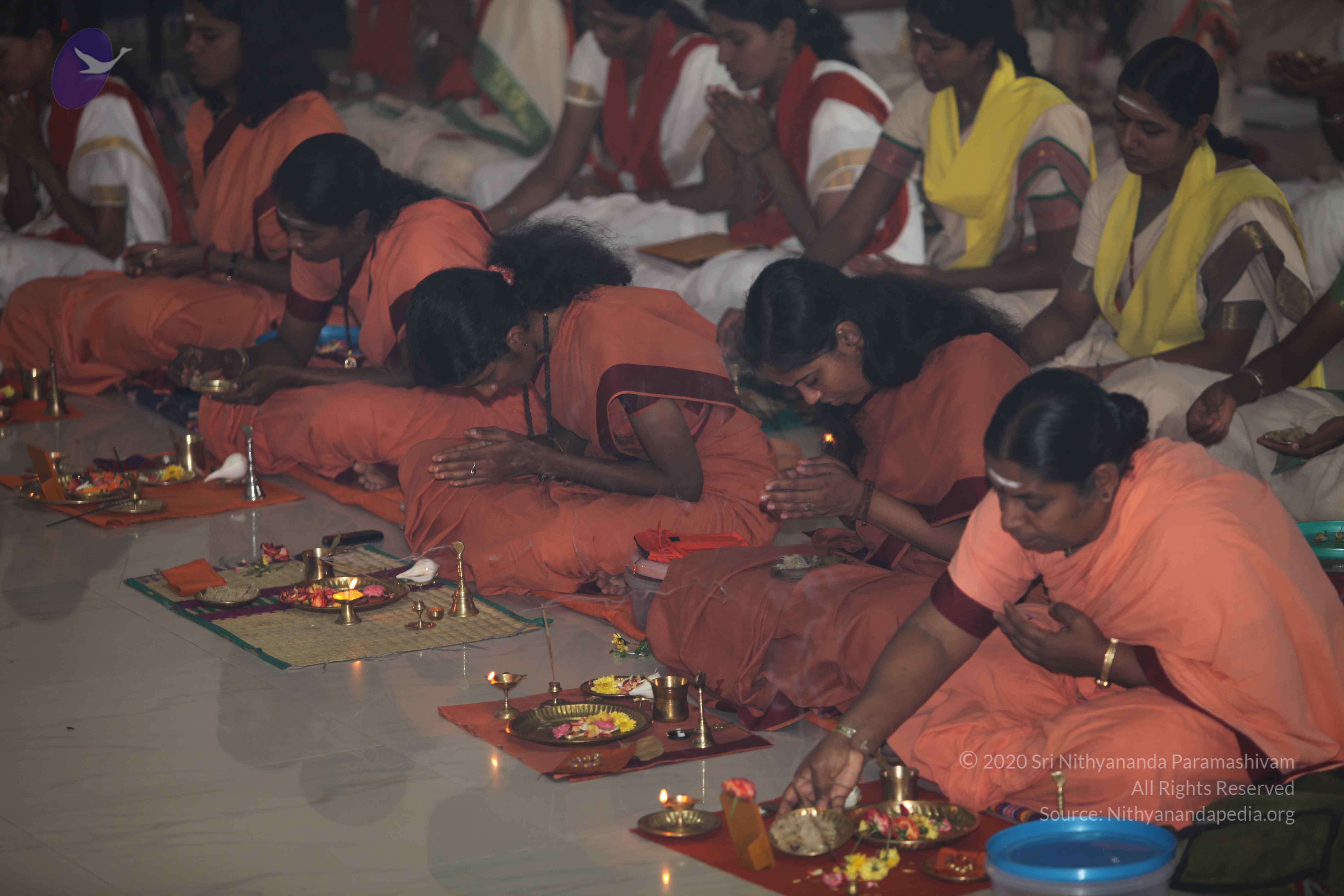 20101119_Photo_1142_IMG_8938_CMP_WM