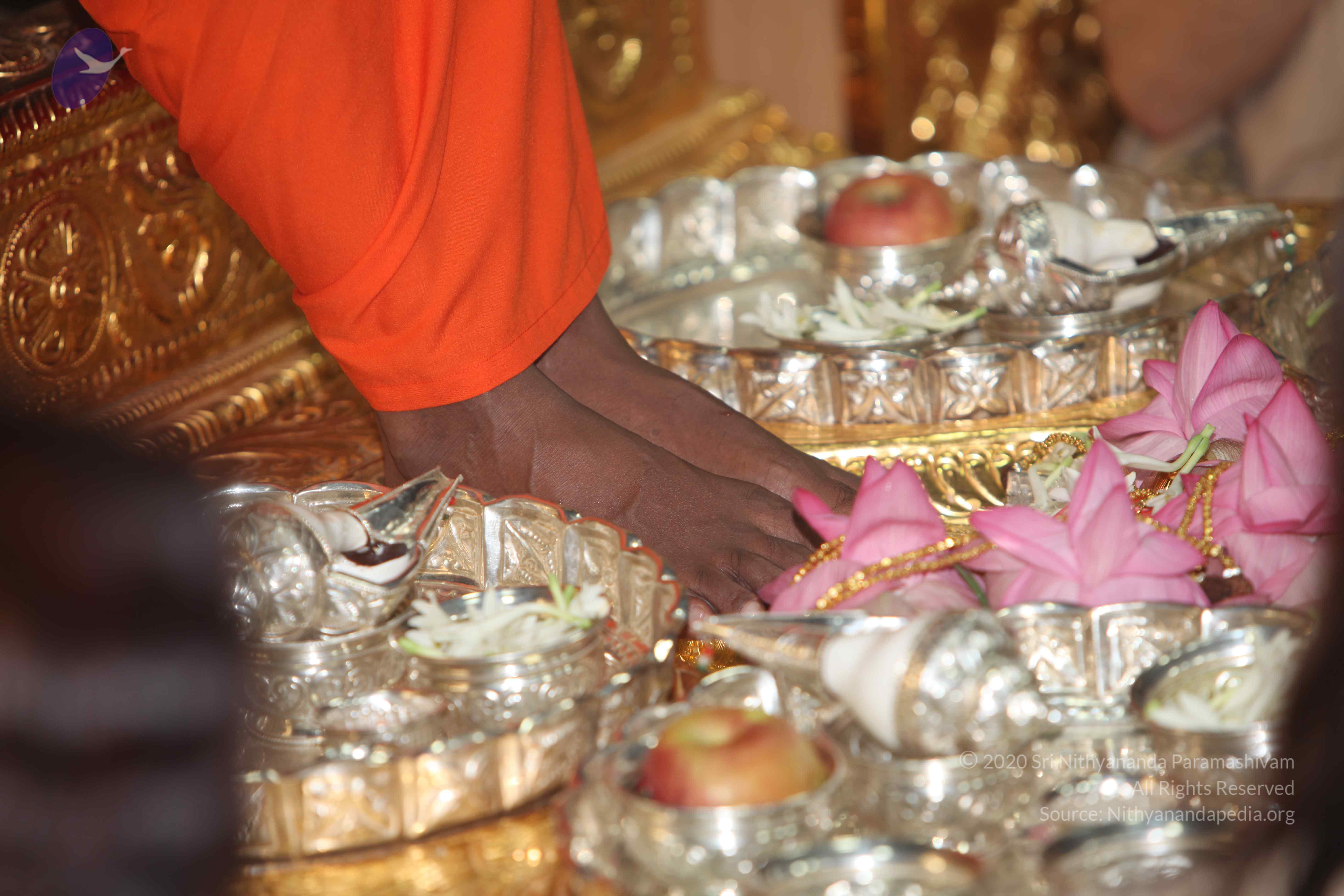 20101119_Photo_1143_IMG_8929_CMP_WM