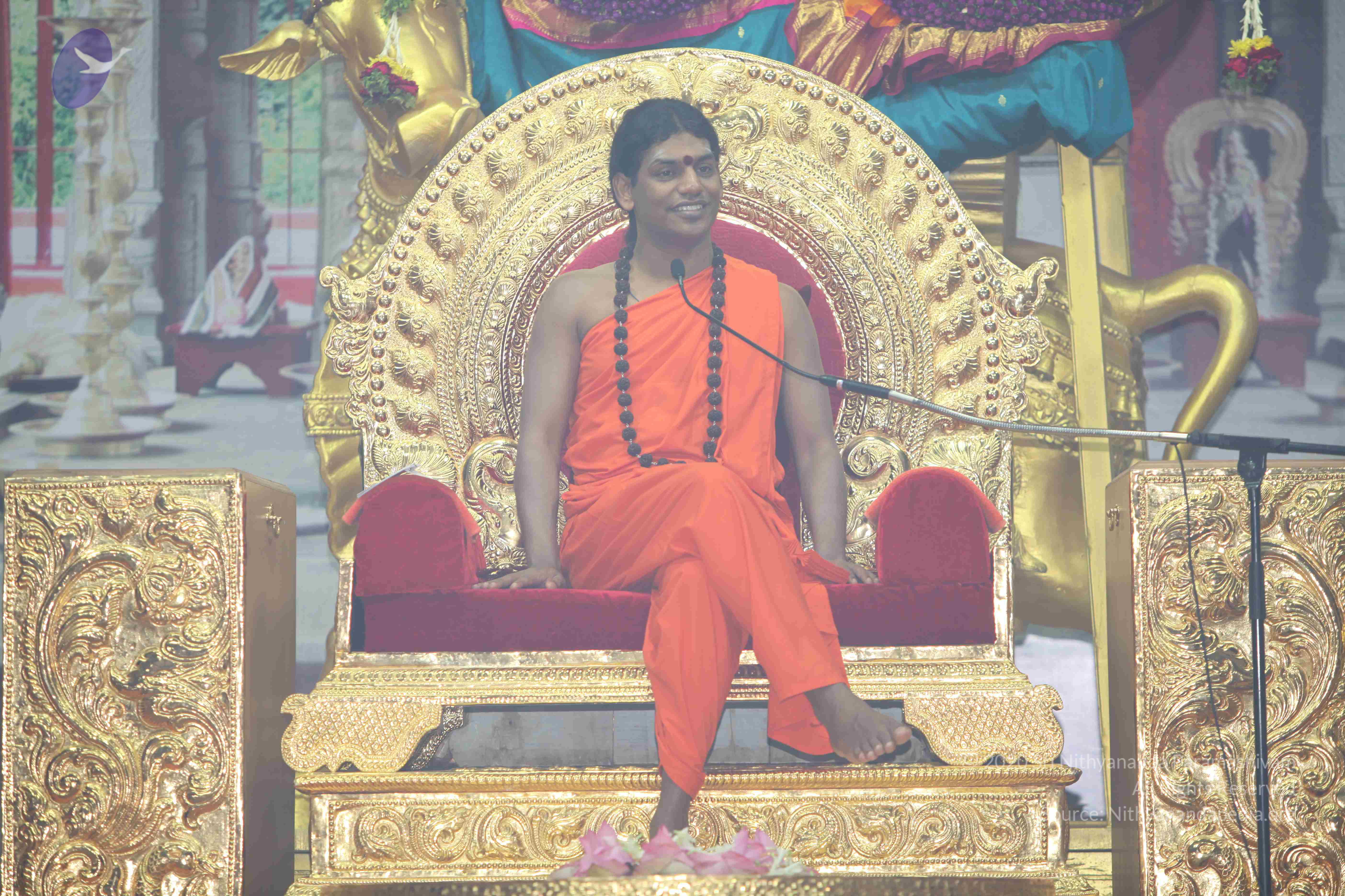 20101119_Photo_1146_IMG_8983_CMP_WM