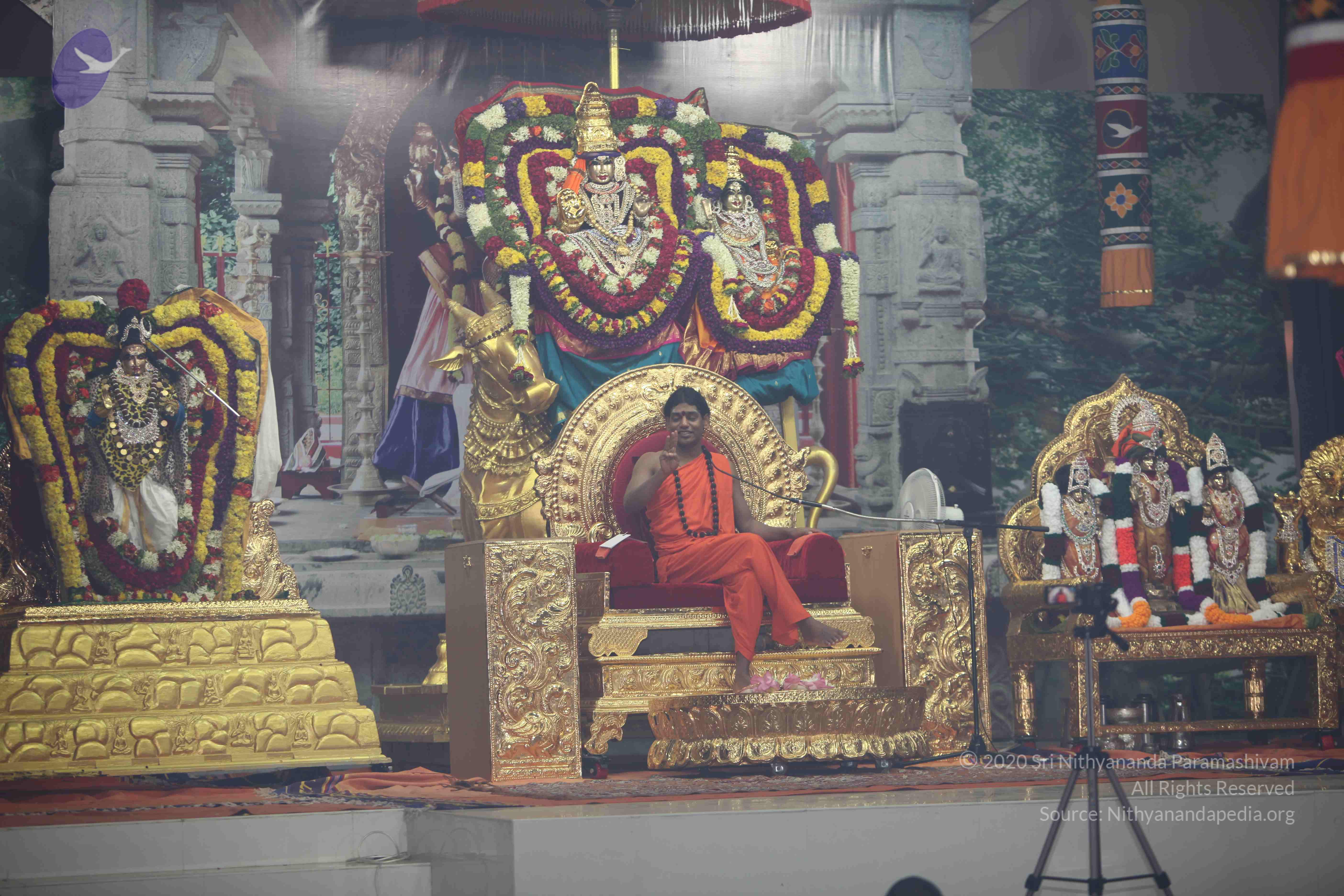 20101119_Photo_1147_IMG_9011_CMP_WM