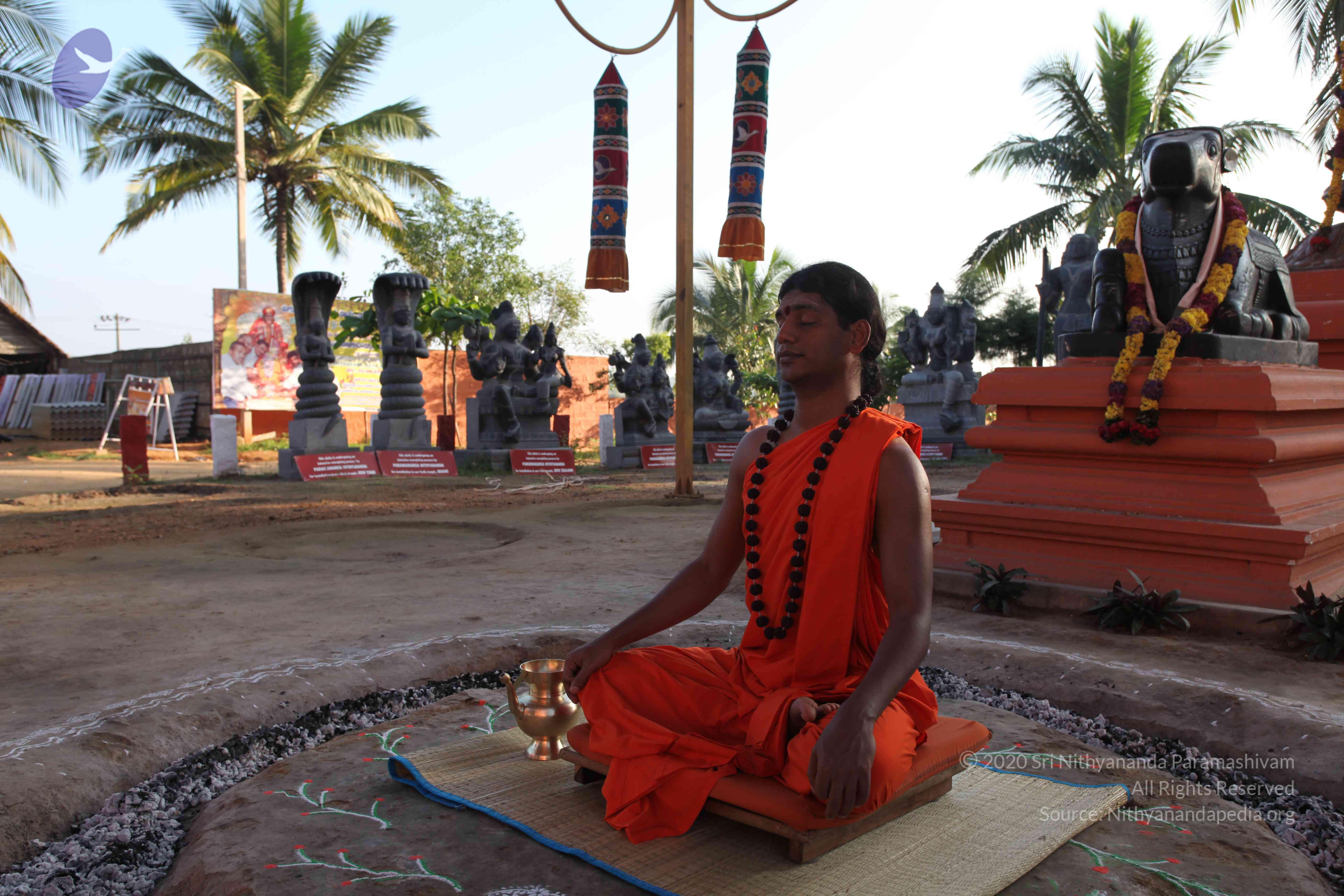 20101119_Photo_1148_IMG_8816_CMP_WM