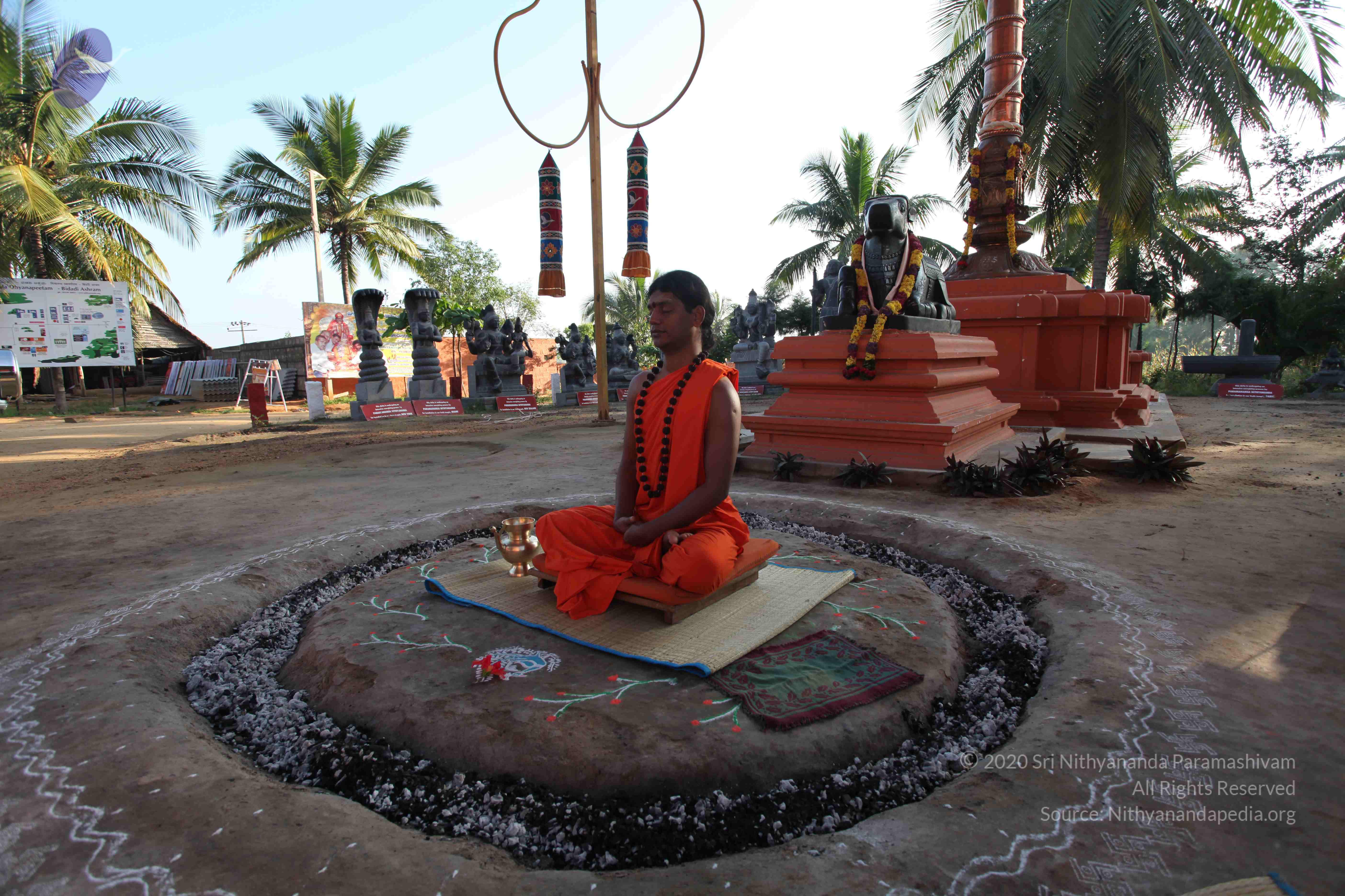 20101119_Photo_1149_IMG_8821_CMP_WM