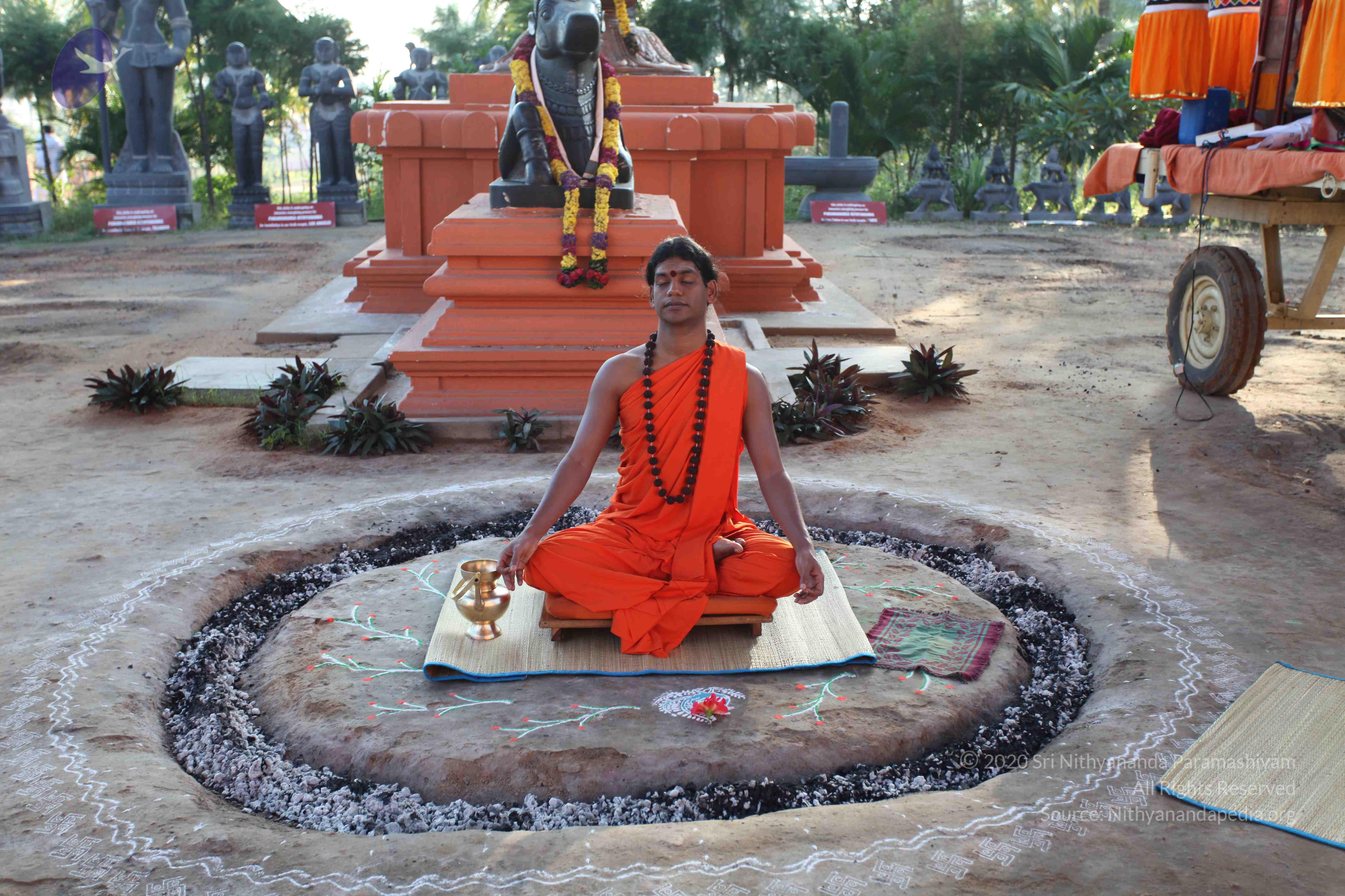 20101119_Photo_1154_IMG_8838_CMP_WM