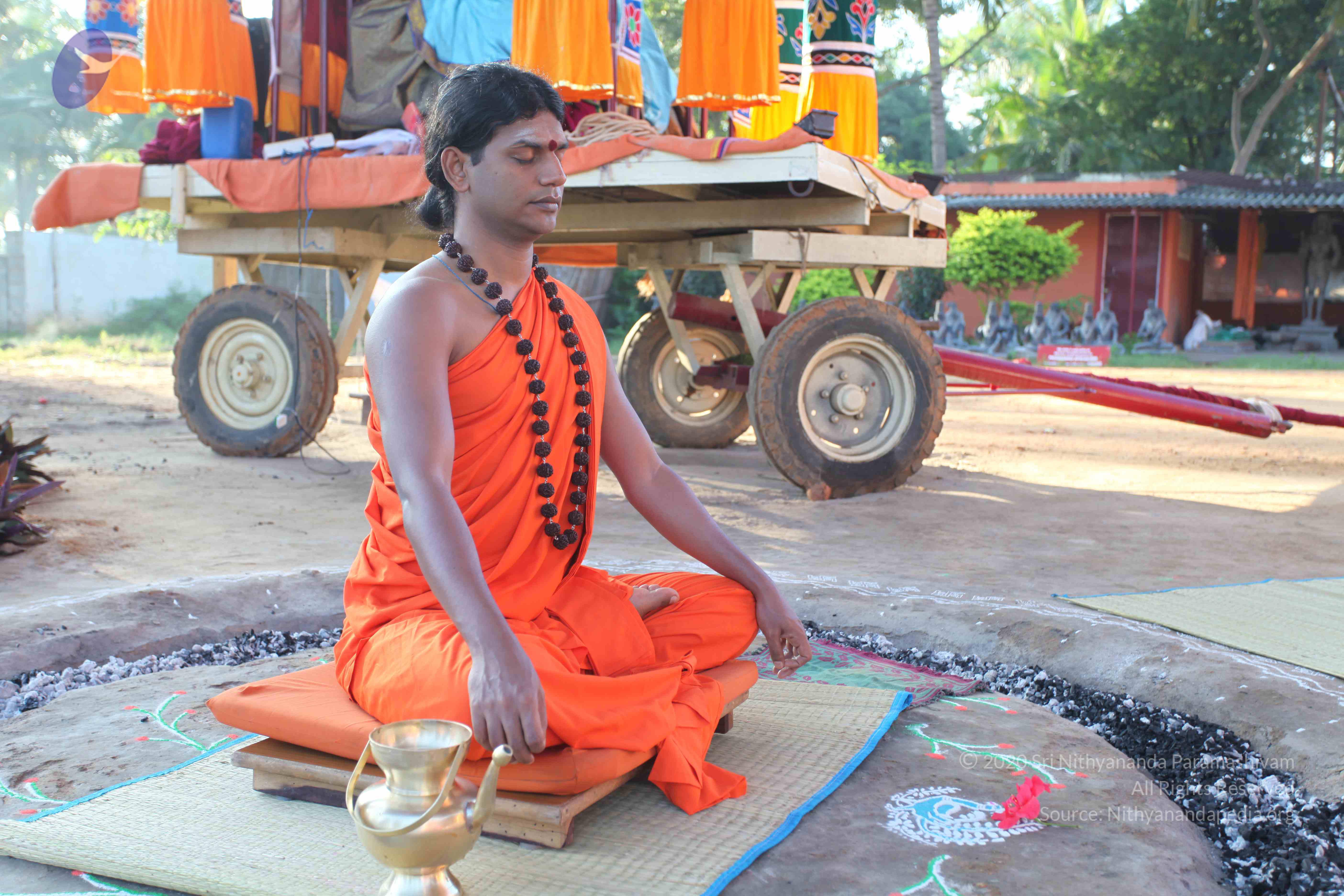 20101119_Photo_1159_IMG_8813_CMP_WM