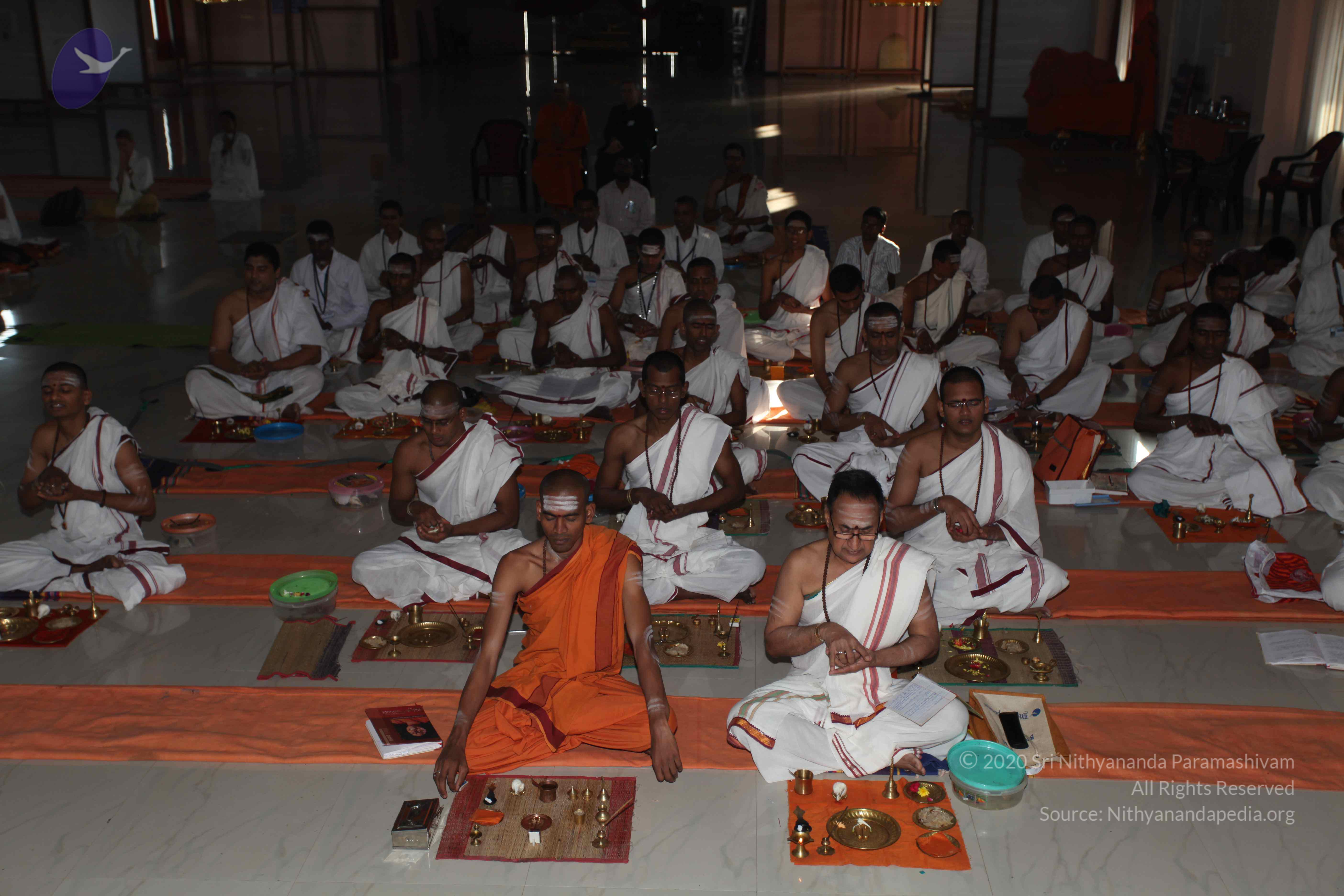 20101119_Photo_1161_IMG_8871_CMP_WM