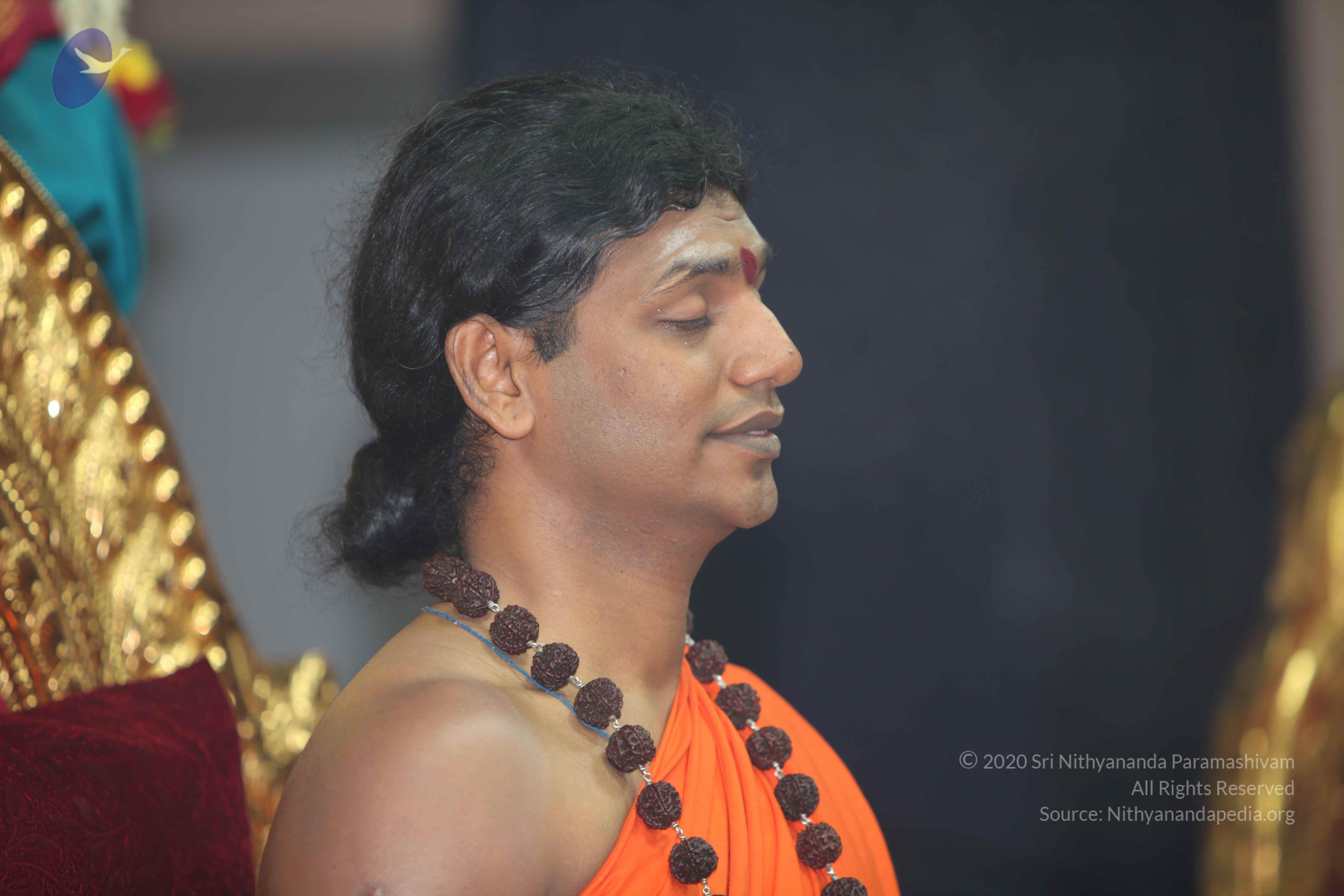 20101119_Photo_1163_IMG_8943_CMP_WM