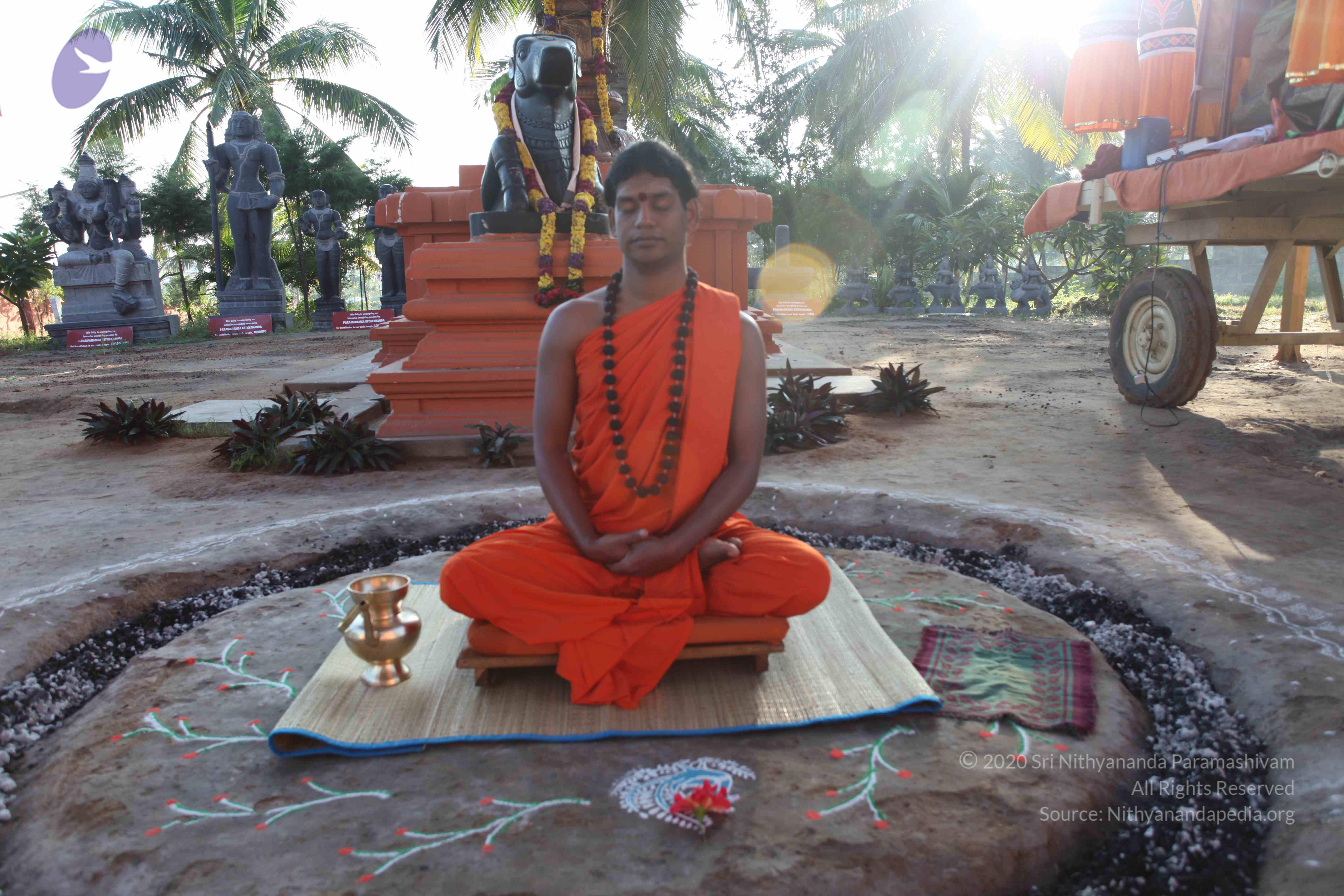 20101119_Photo_1168_IMG_8829_CMP_WM