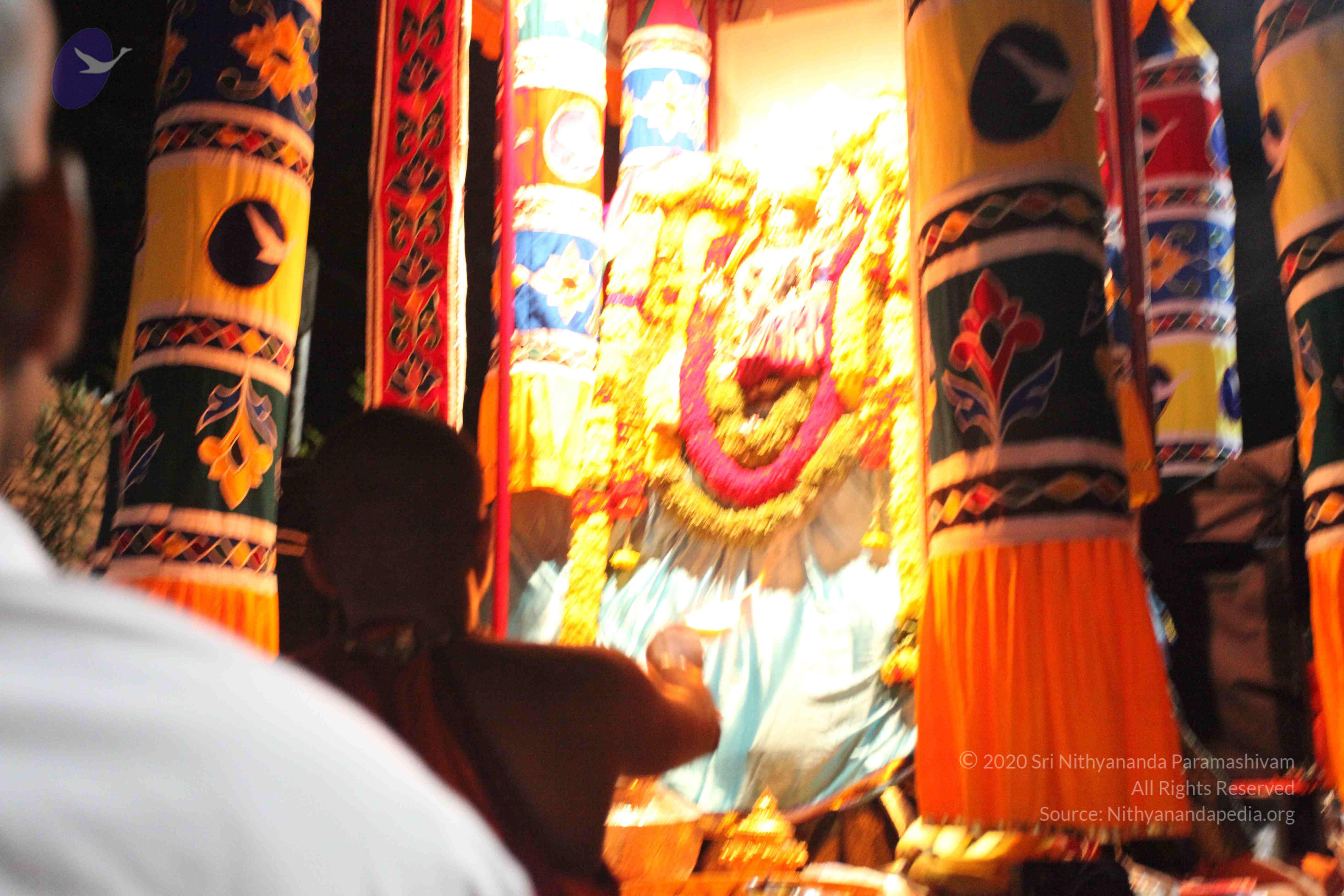 20101119_Photo_1003_IMG_8242_CMP_WM