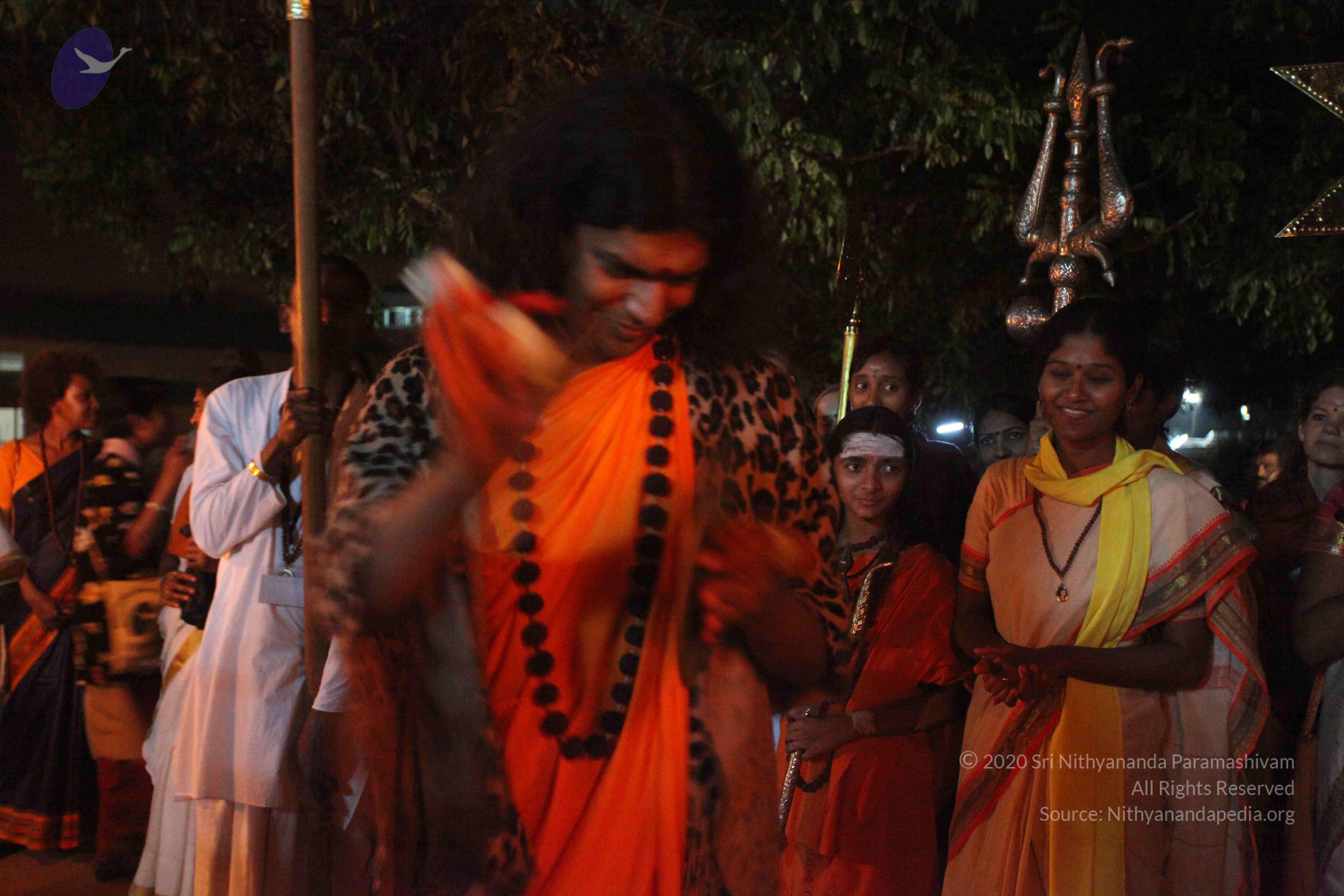 20101119_Photo_1005_IMG_8303_CMP_WM