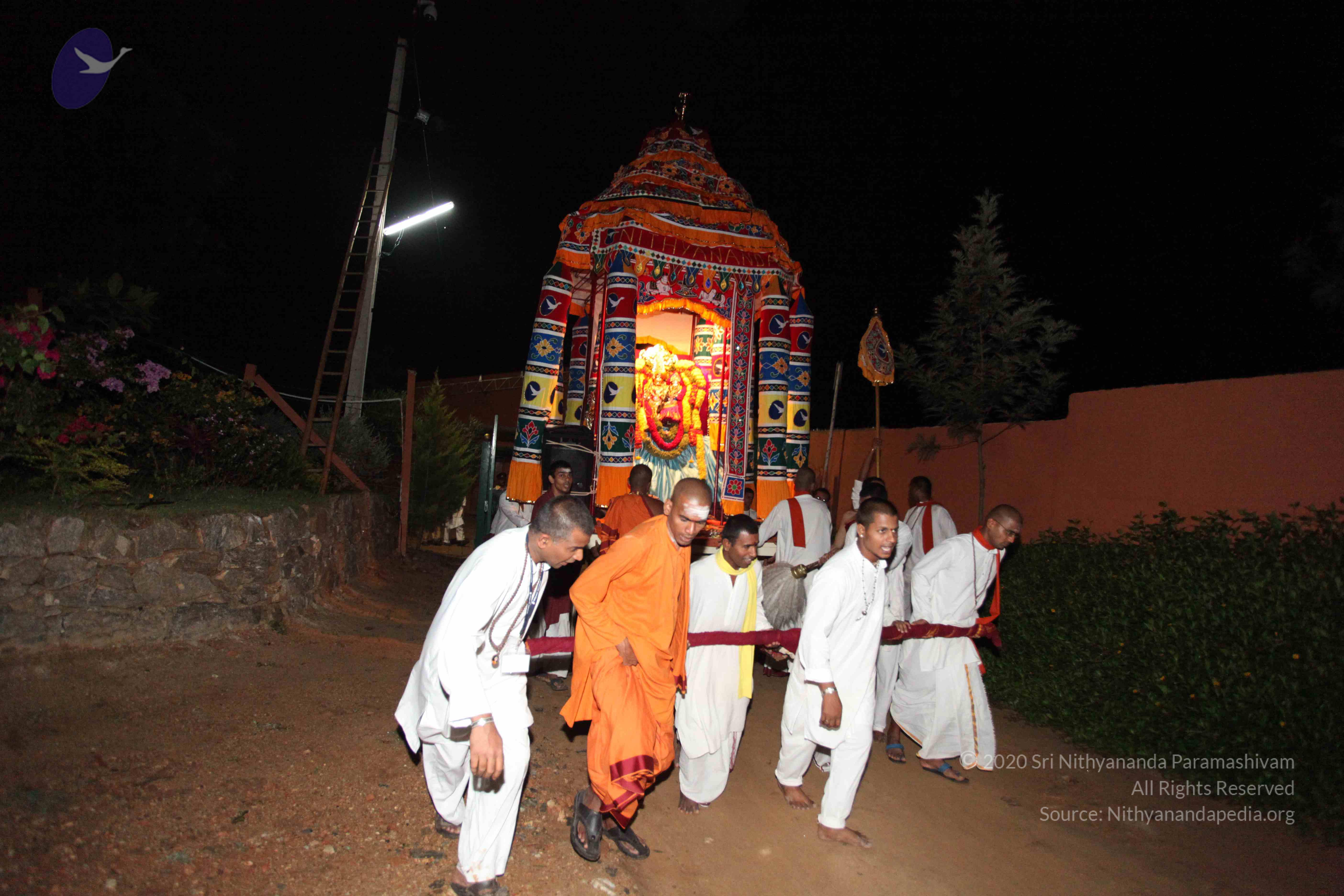 20101119_Photo_1007_IMG_8708_CMP_WM