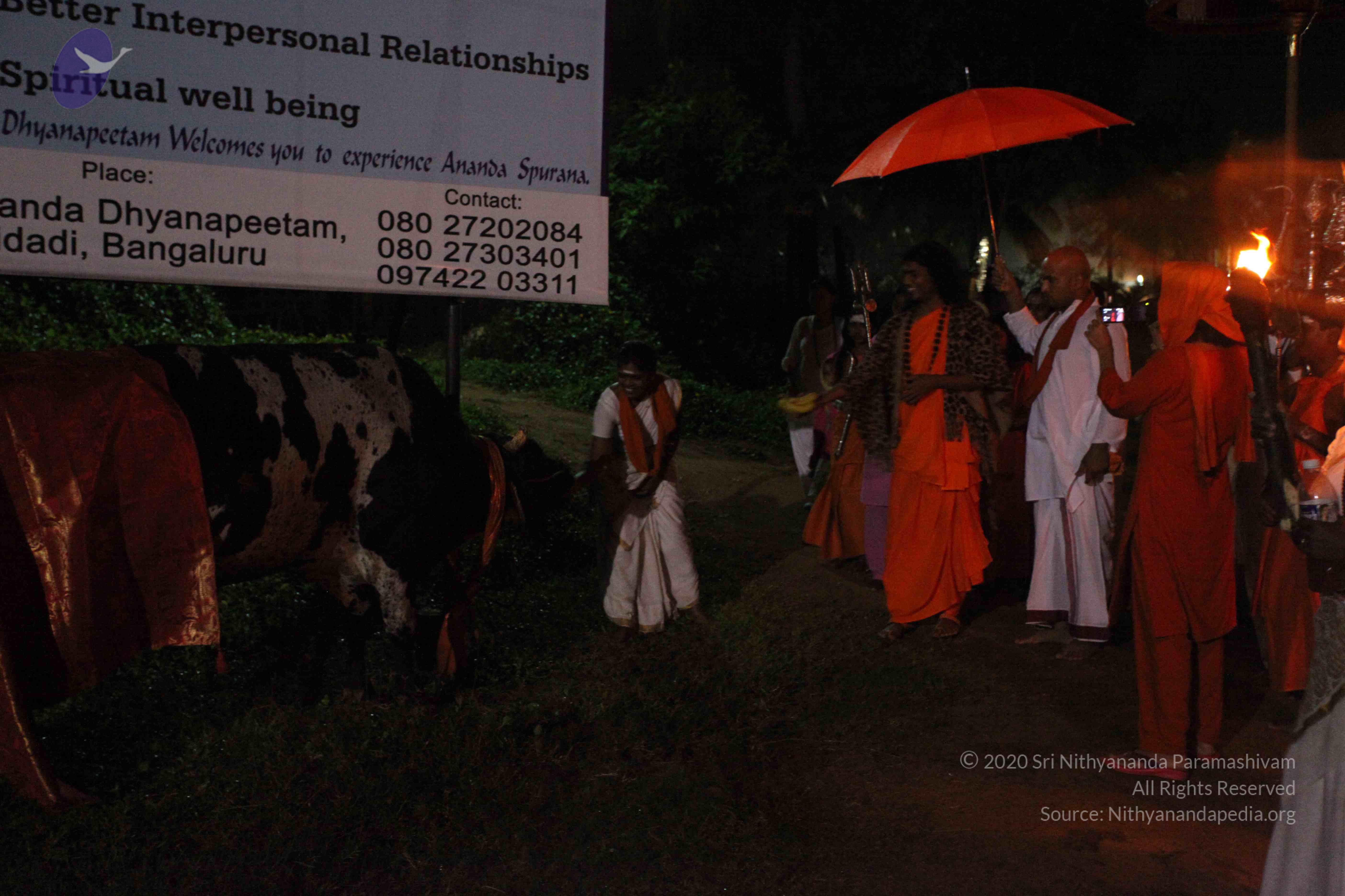 20101119_Photo_1013_IMG_8137_CMP_WM