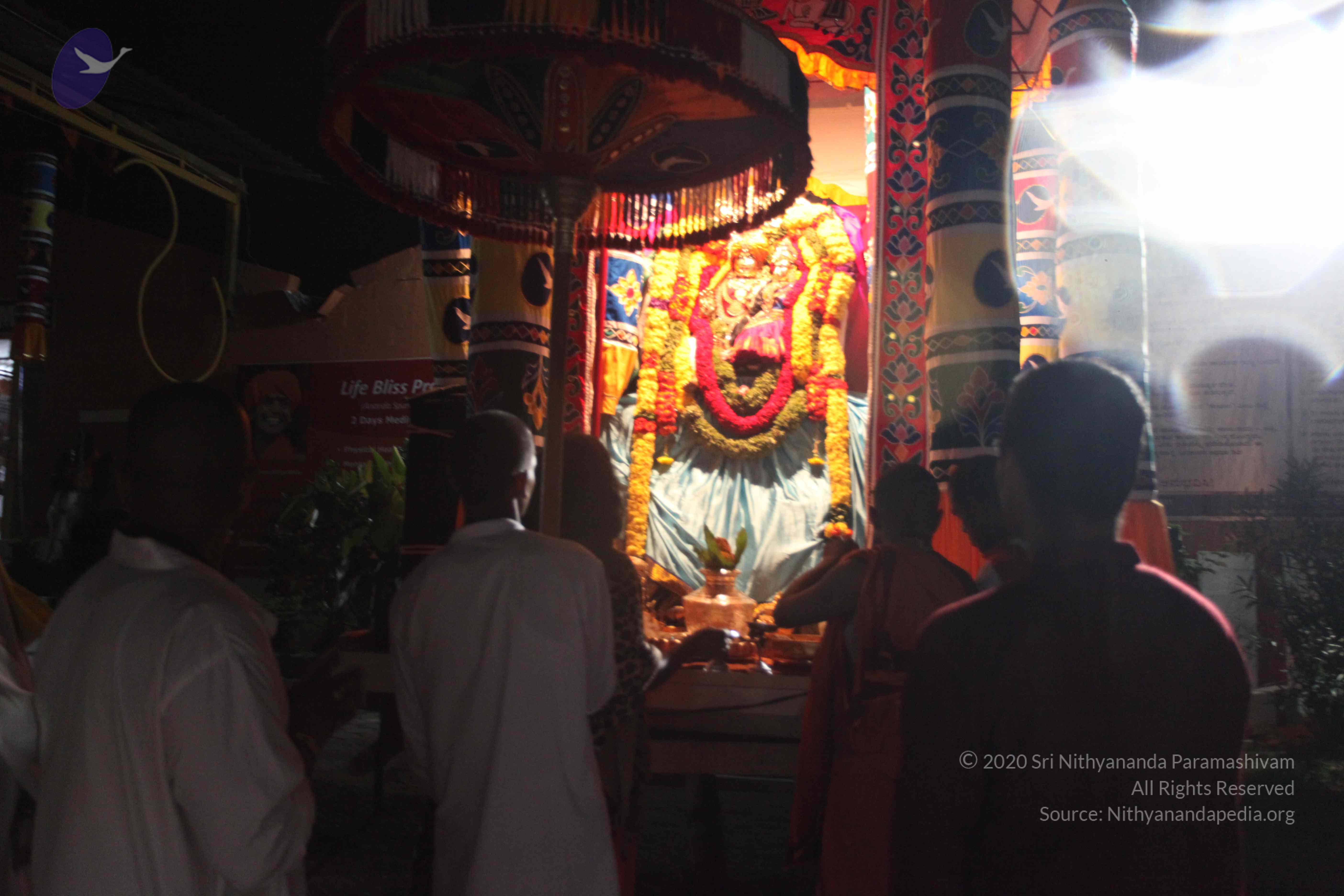 20101119_Photo_1073_IMG_8106 - Copy_CMP_WM