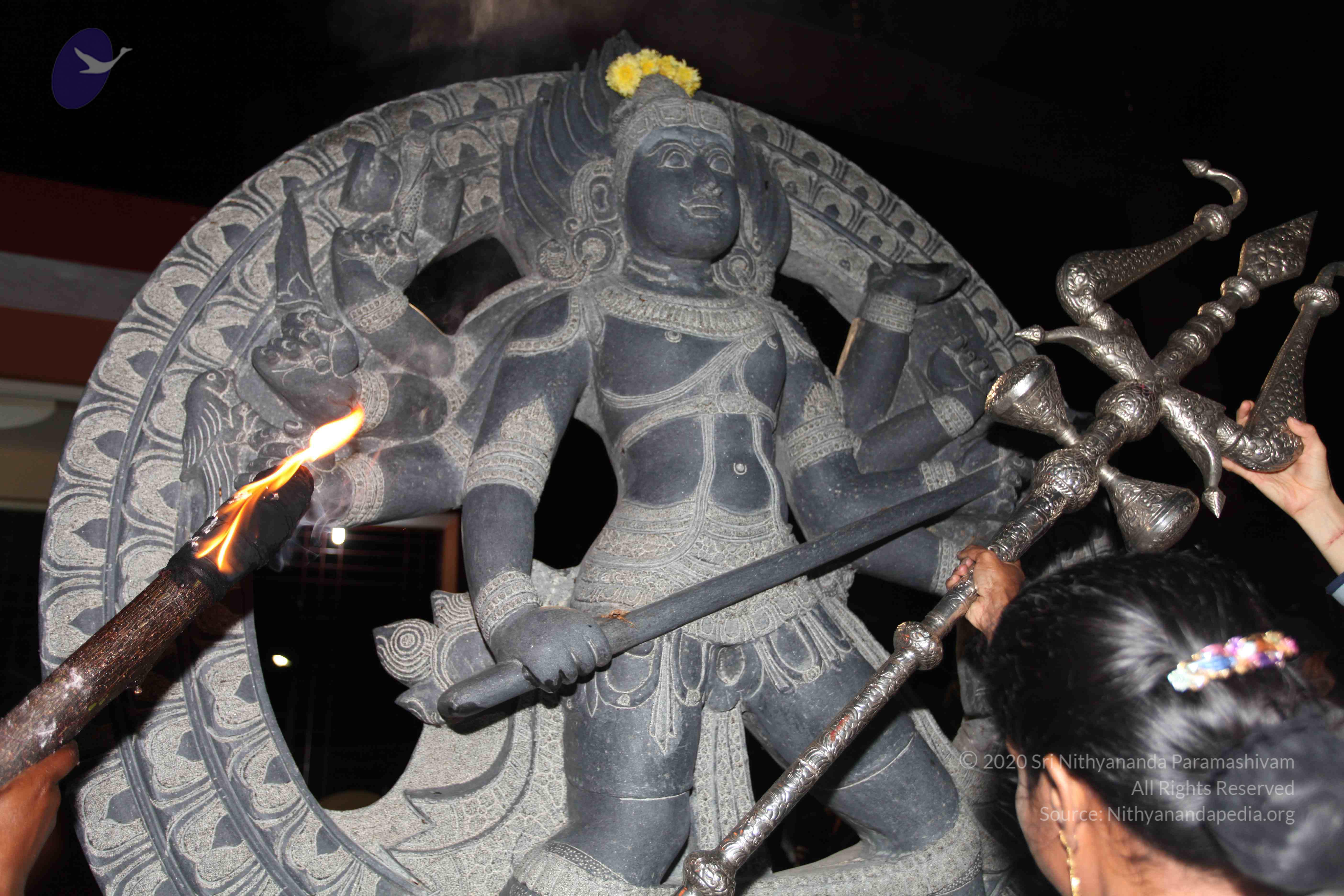 20101119_Photo_1079_IMG_8593_CMP_WM