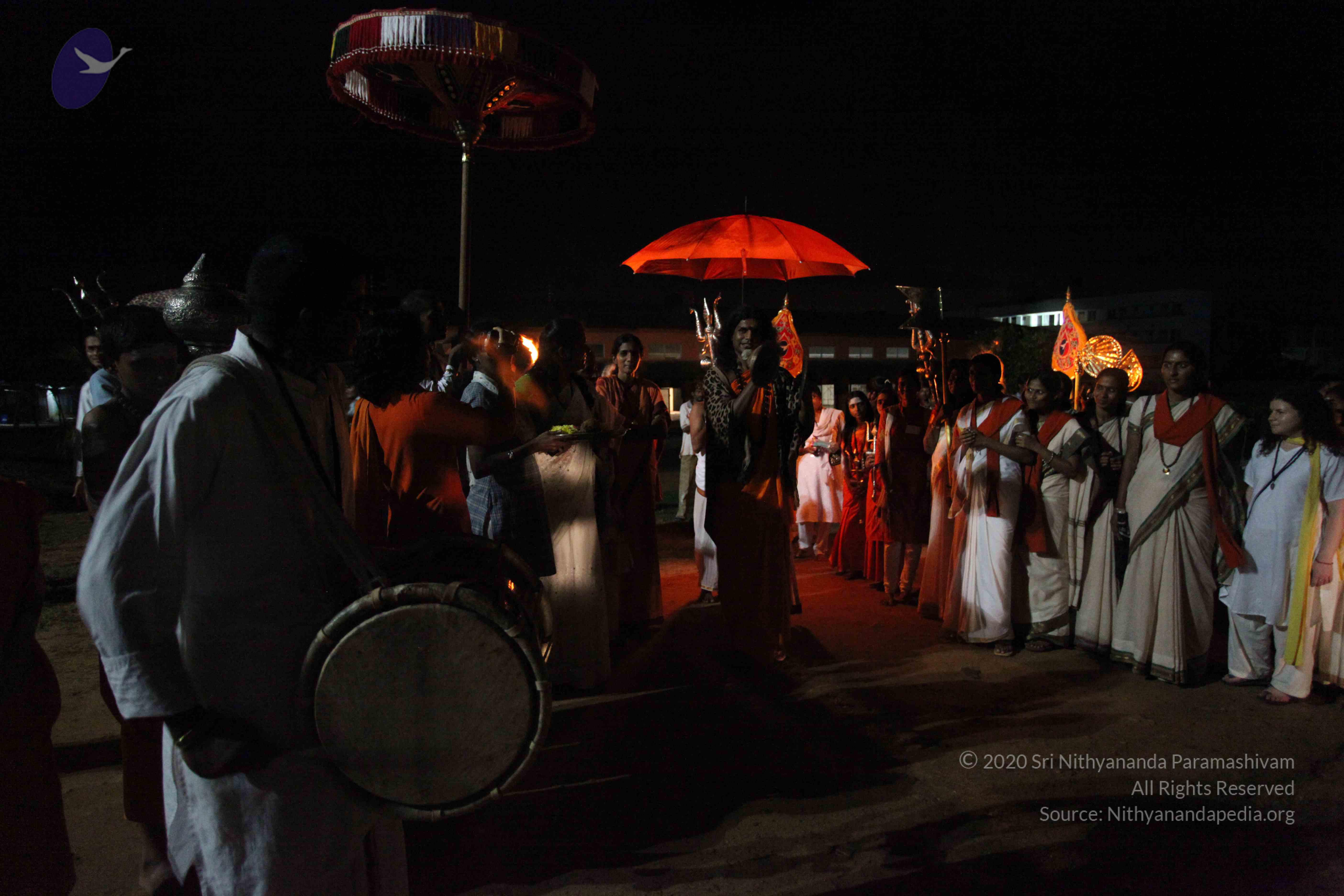 20101119_Photo_1107_IMG_8410_CMP_WM