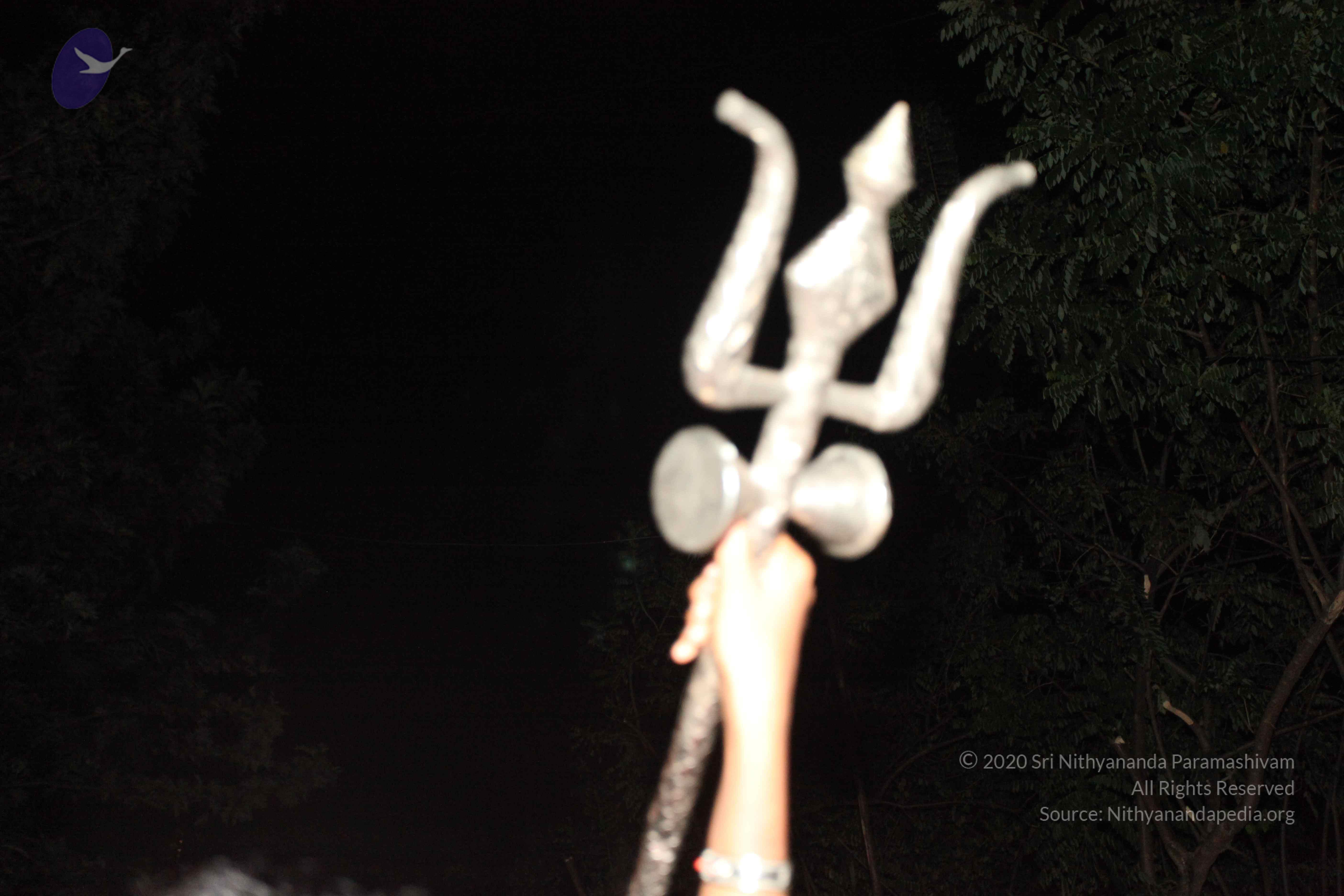 20101119_Photo_1108_IMG_8692_CMP_WM