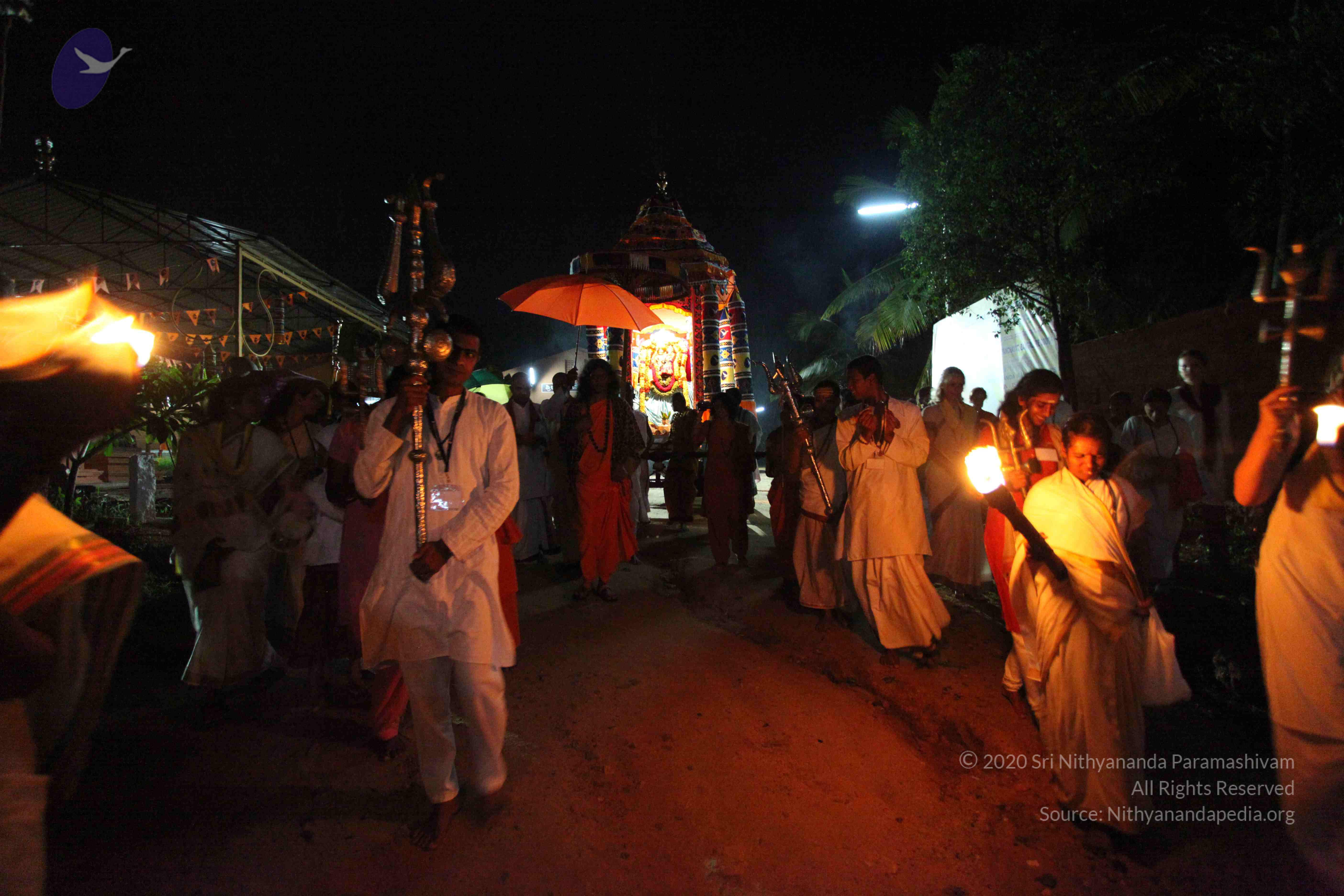 20101119_Photo_1117_IMG_8124_CMP_WM