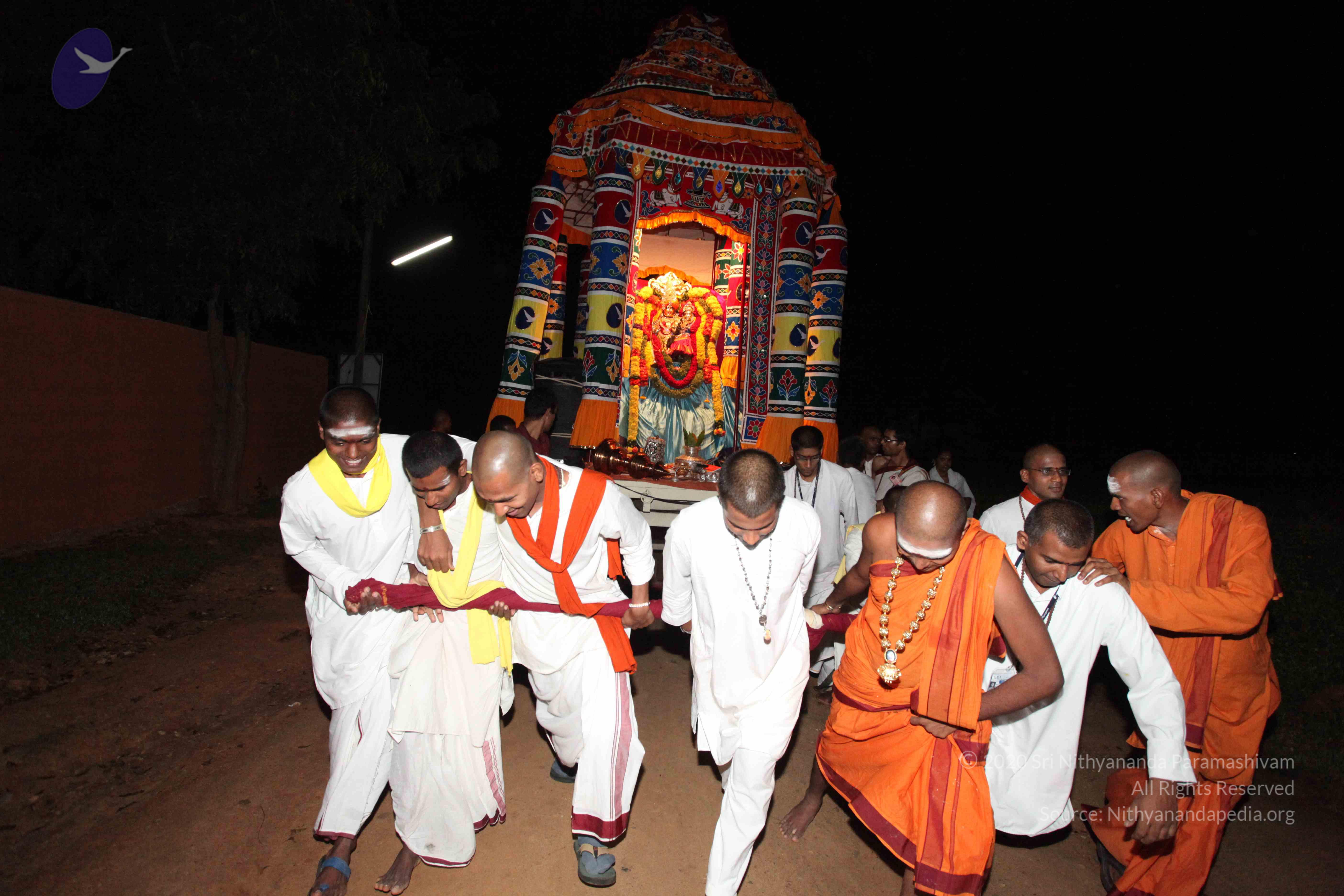 20101119_Photo_1127_IMG_8729_CMP_WM