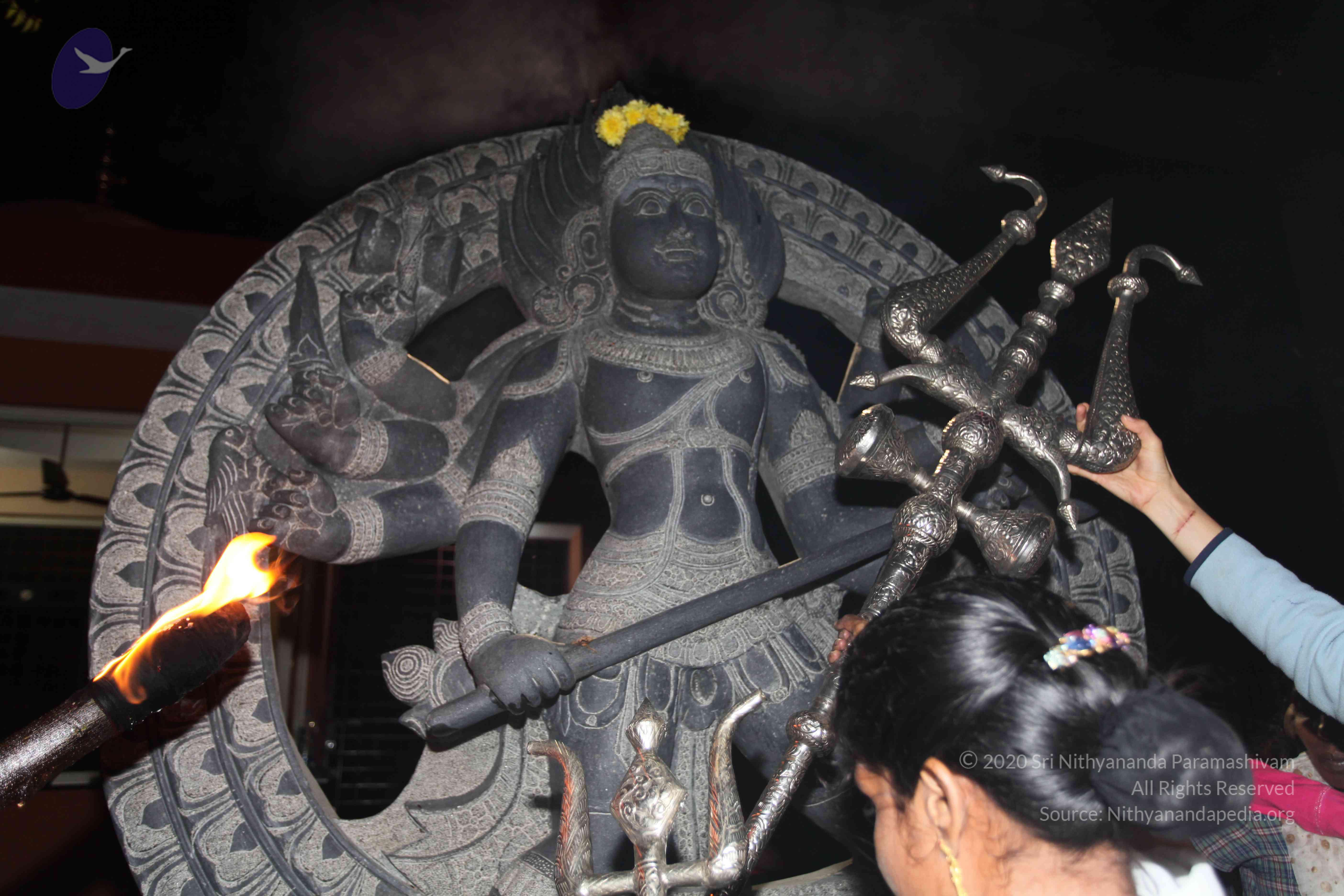 20101119_Photo_1151_IMG_8591_CMP_WM