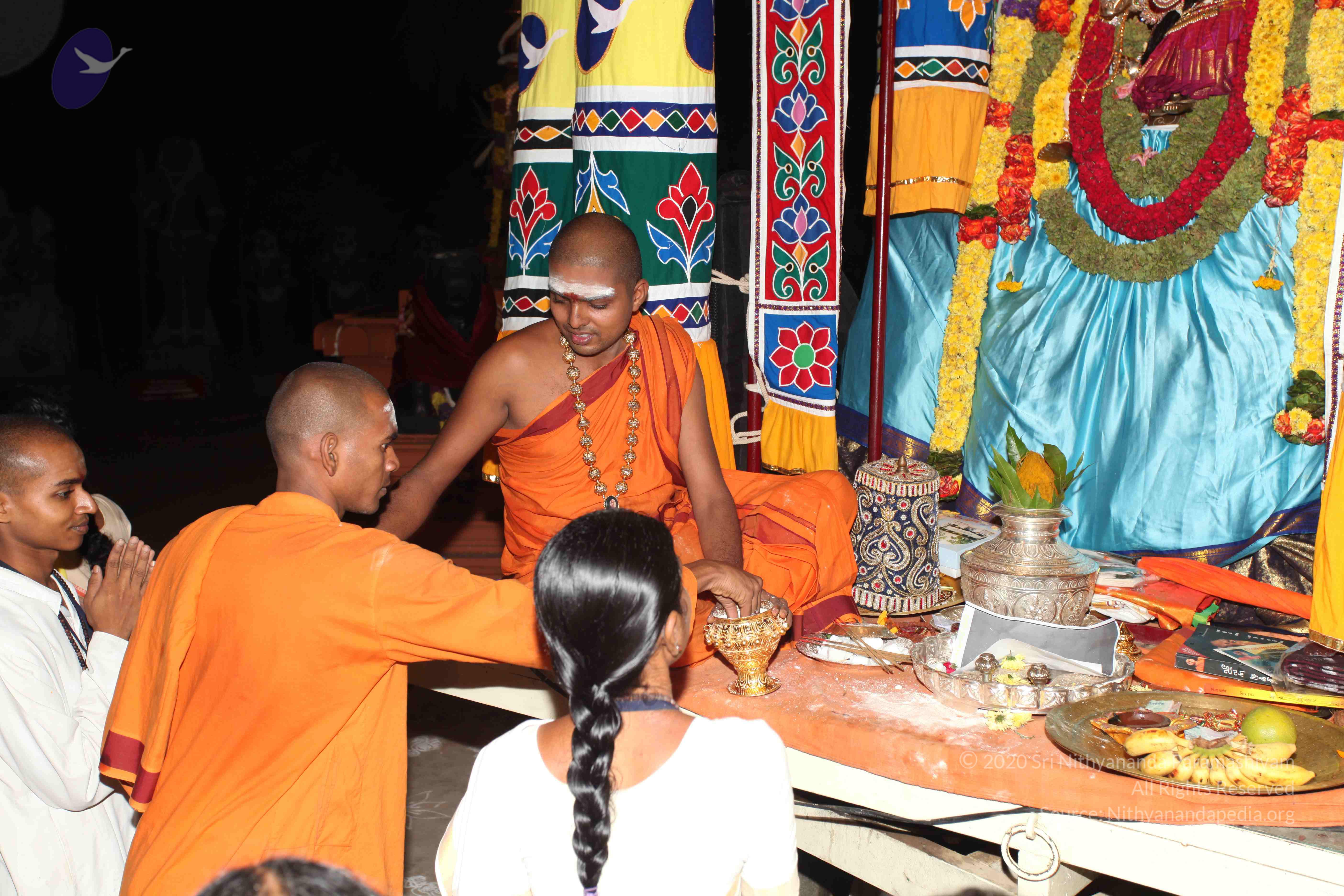 20101119_Photo_1235_IMG_8766_CMP_WM