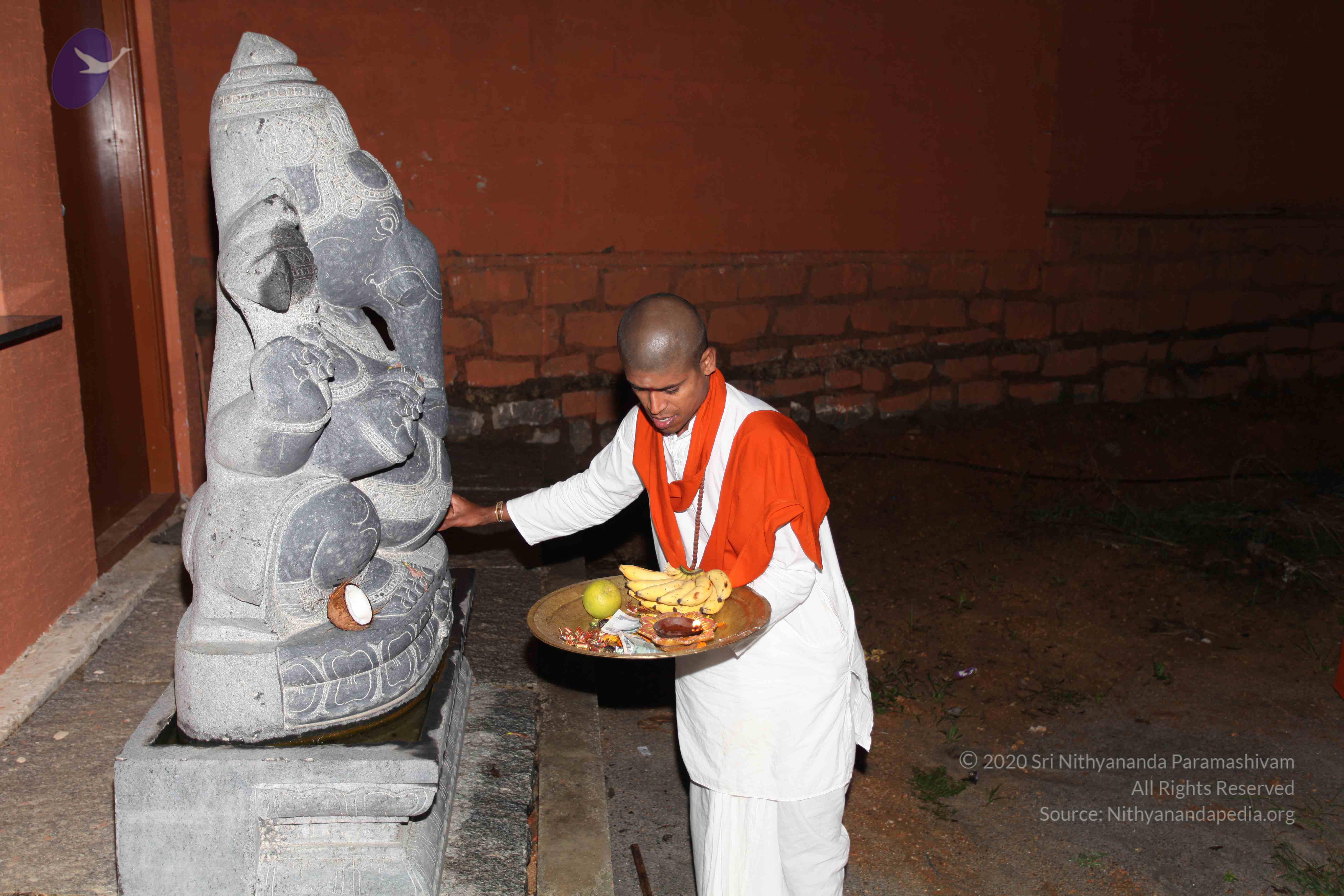 20101119_Photo_1237_IMG_8565_CMP_WM