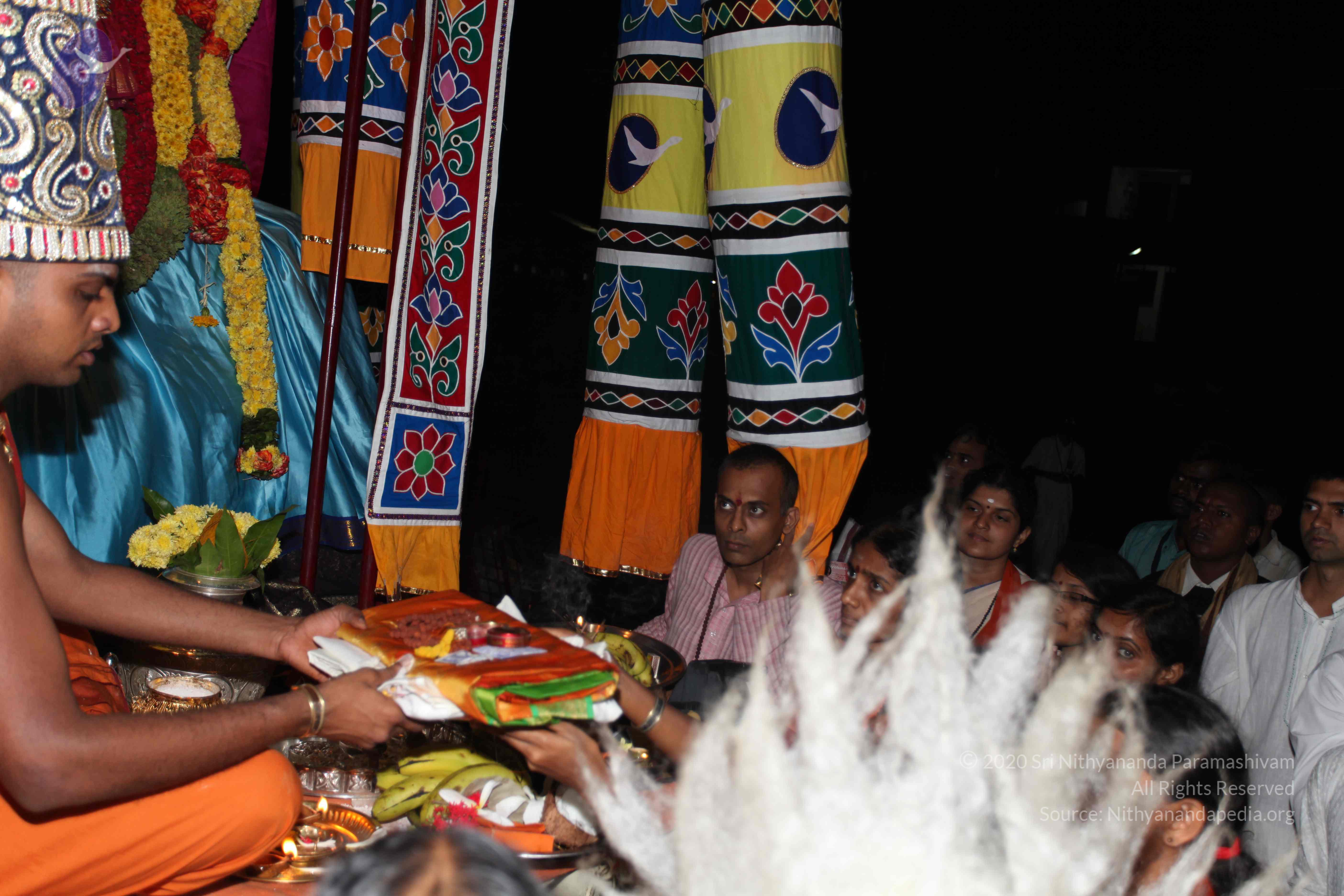 20101119_Photo_1255_IMG_8500_CMP_WM