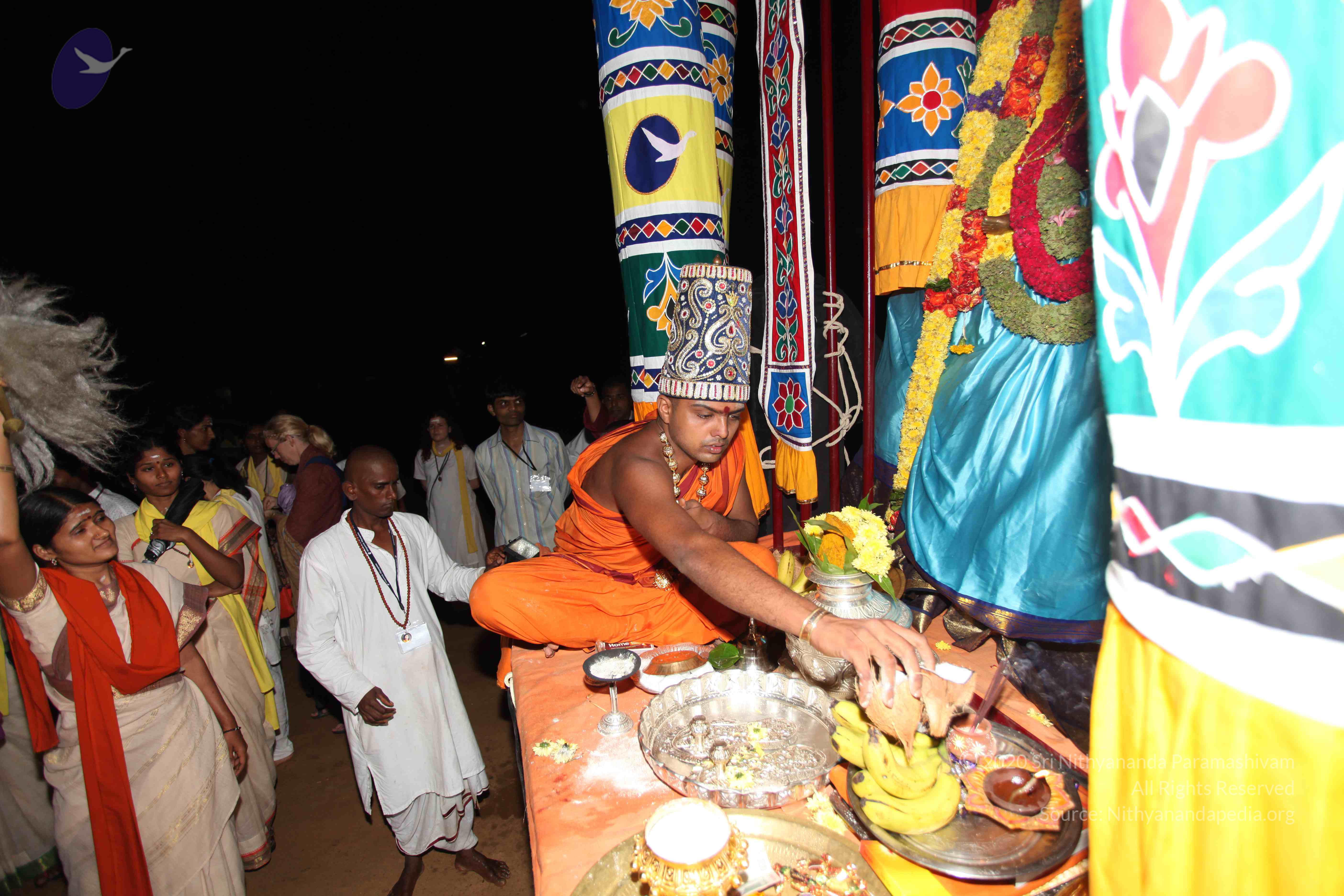 20101119_Photo_1270_IMG_8484_CMP_WM