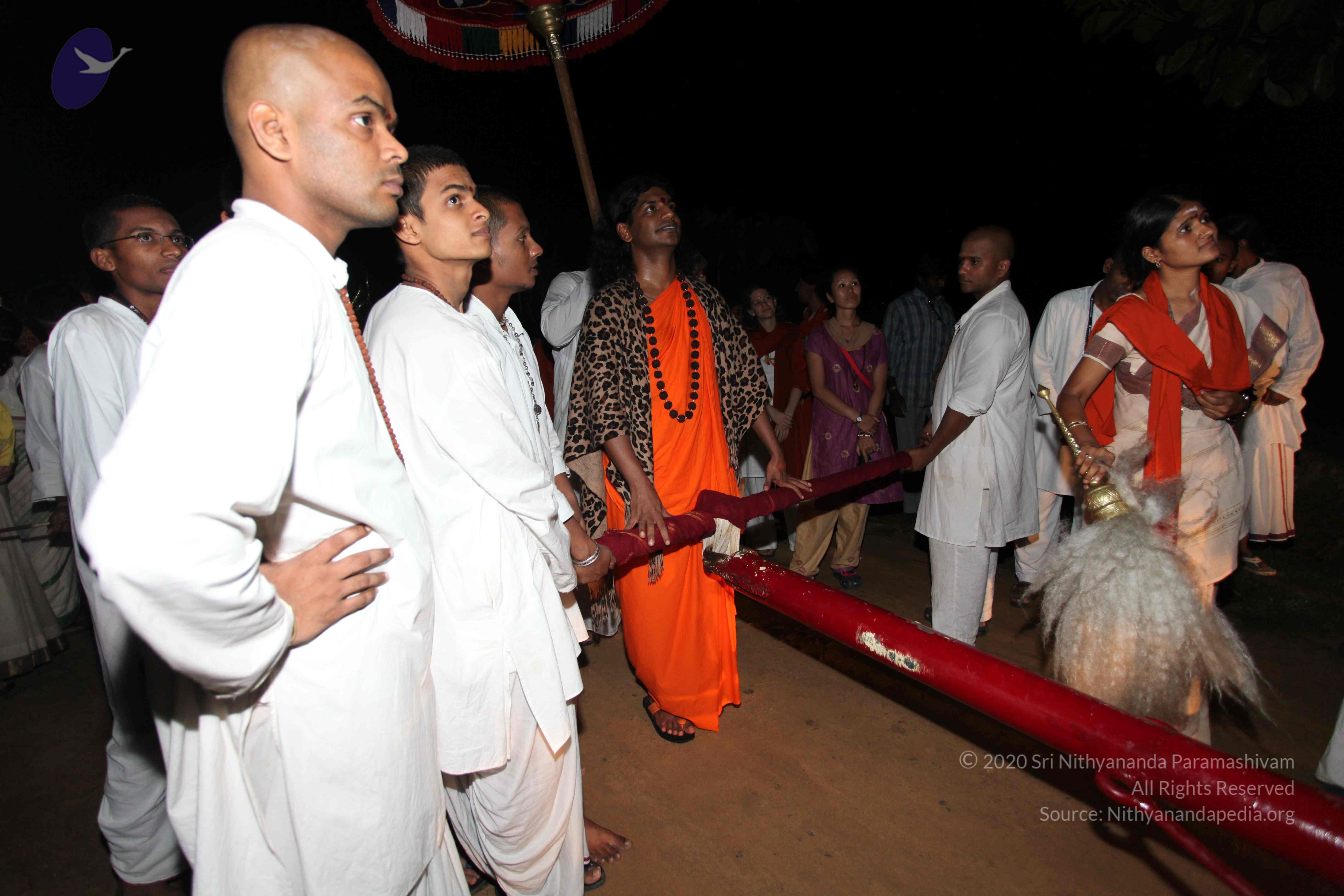 20101119_Photo_1285_IMG_8450_CMP_WM