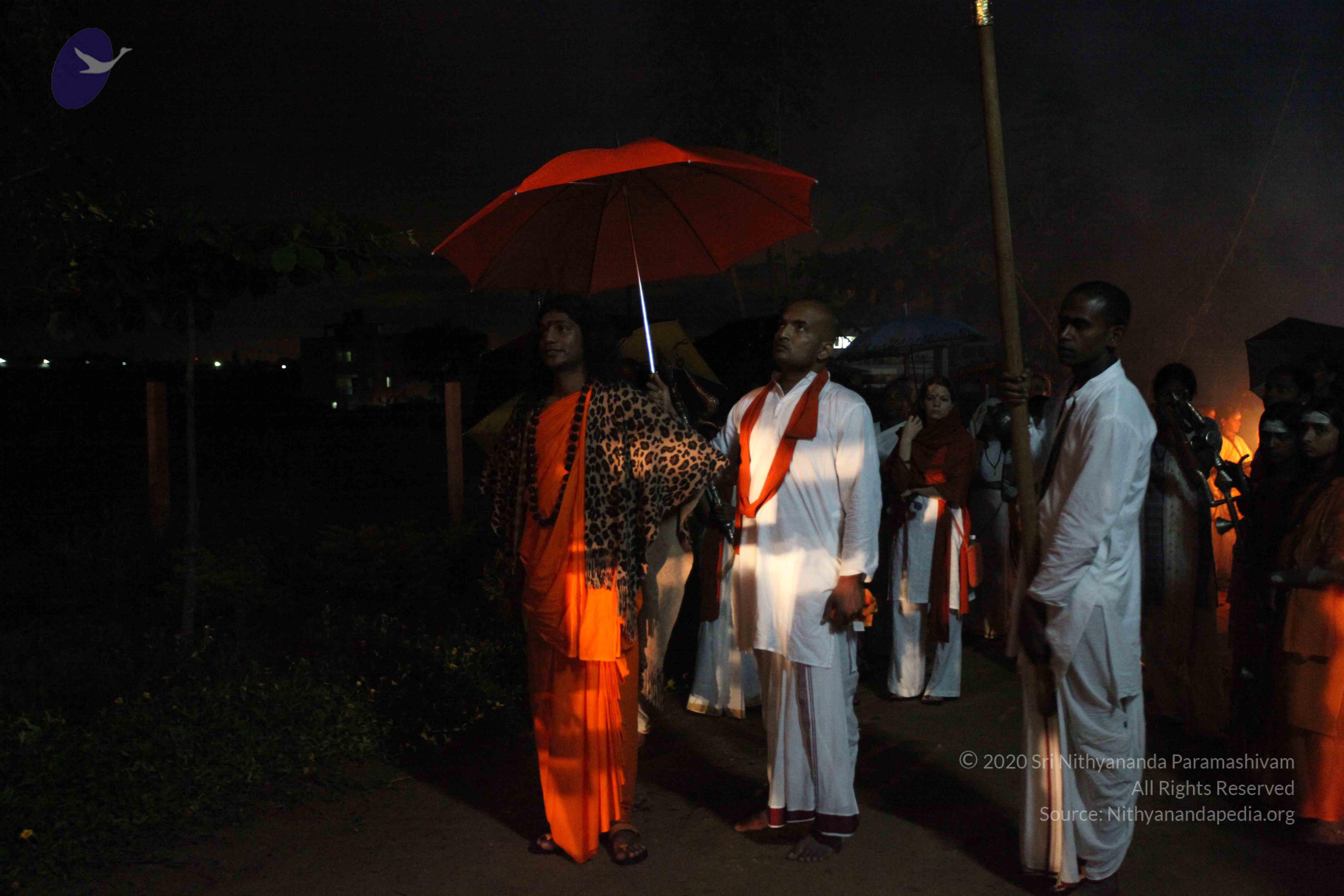 20101119_Photo_1286_IMG_8178_CMP_WM