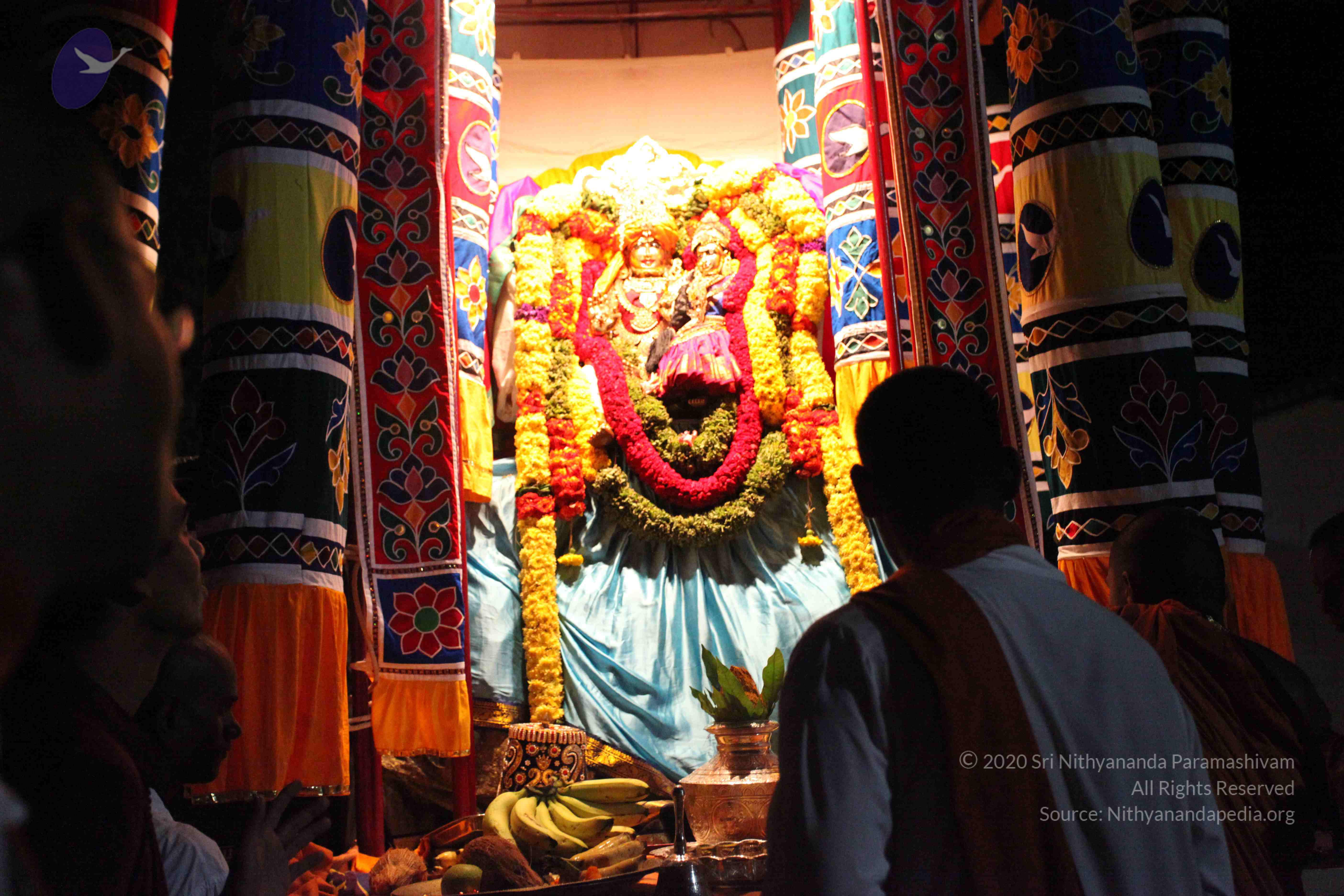 20101119_Photo_1299_IMG_8413 - Copy_CMP_WM