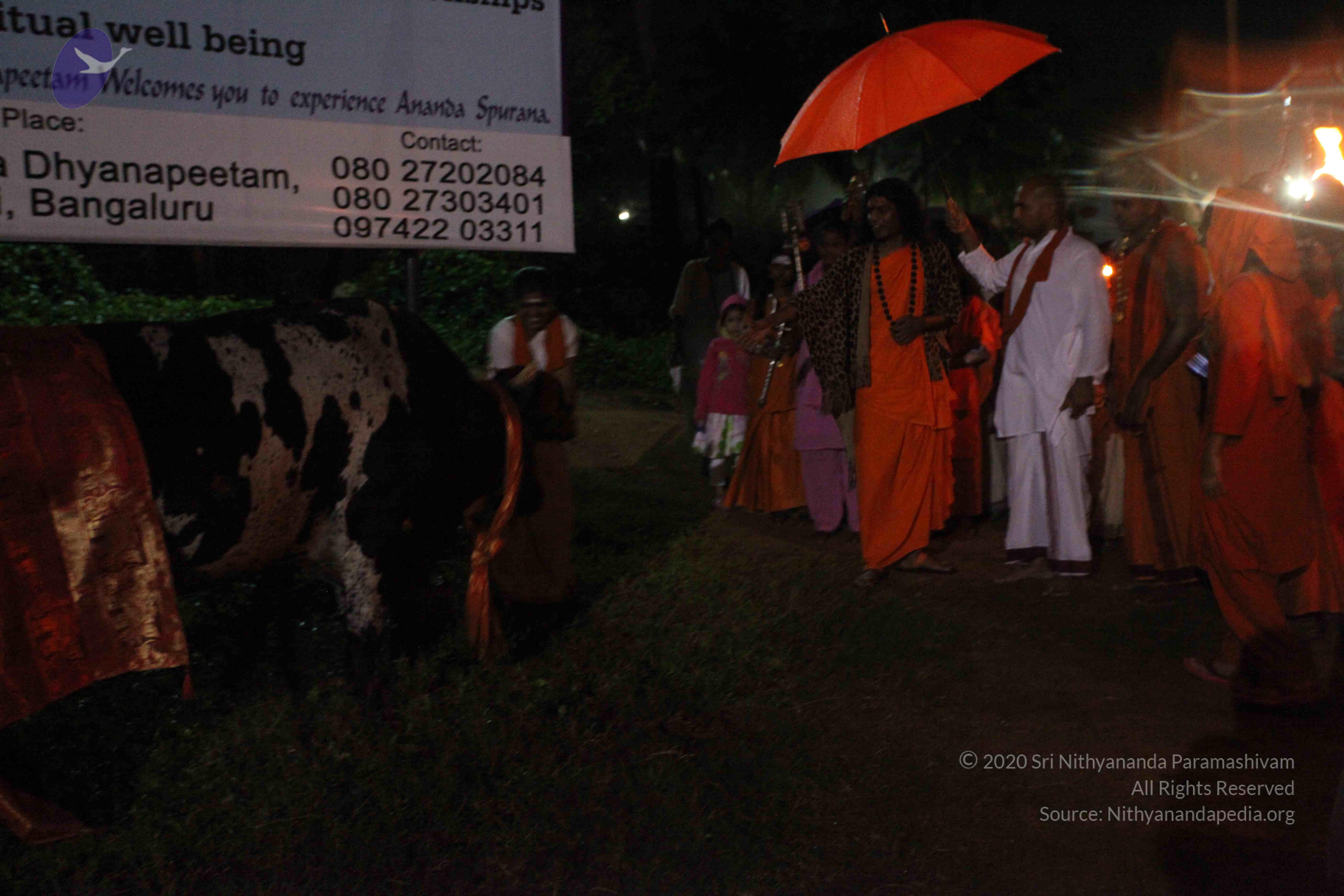 20101119_Photo_1316_IMG_8139_CMP_WM