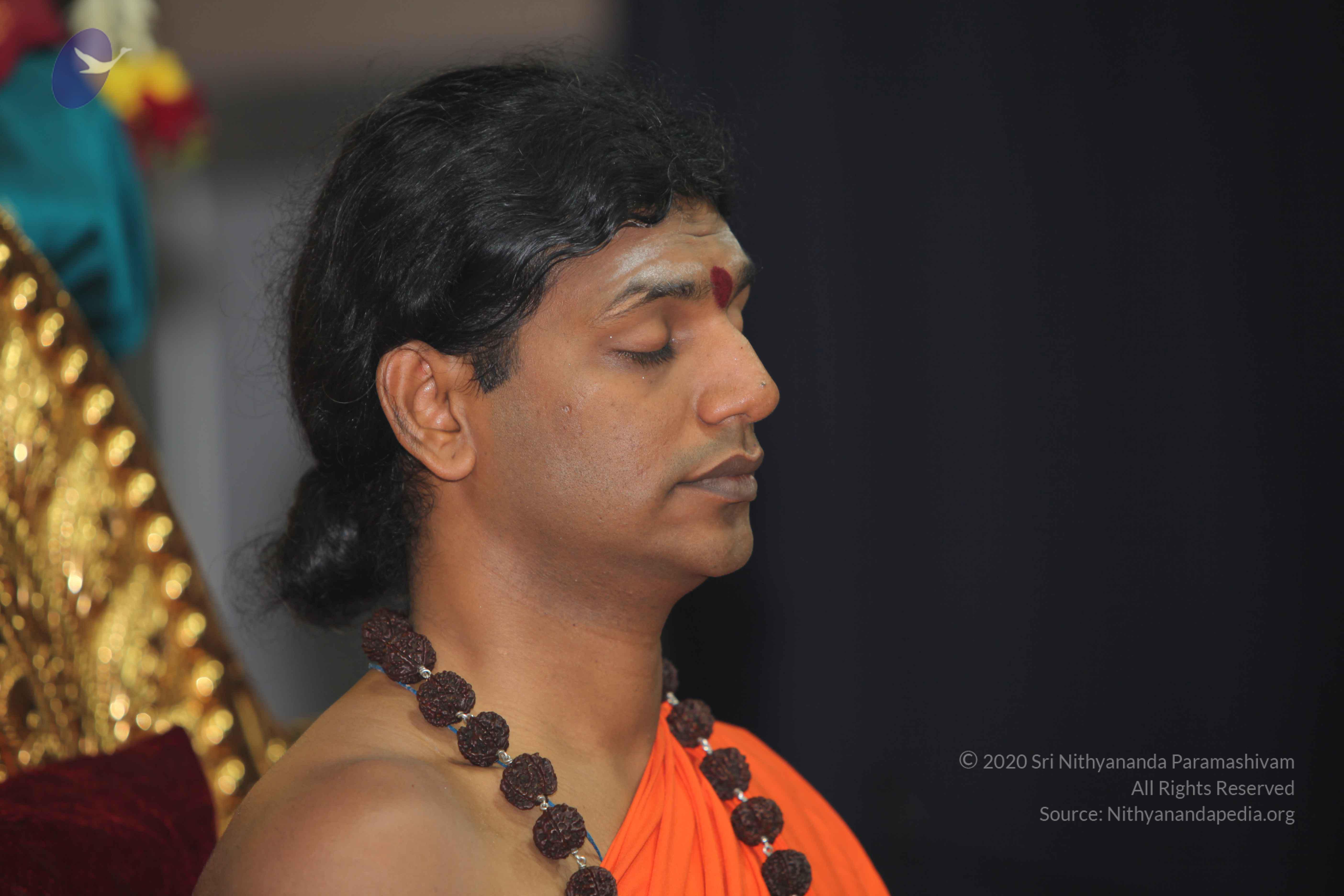 20101119_Photo_1000_IMG_8933_CMP_WM