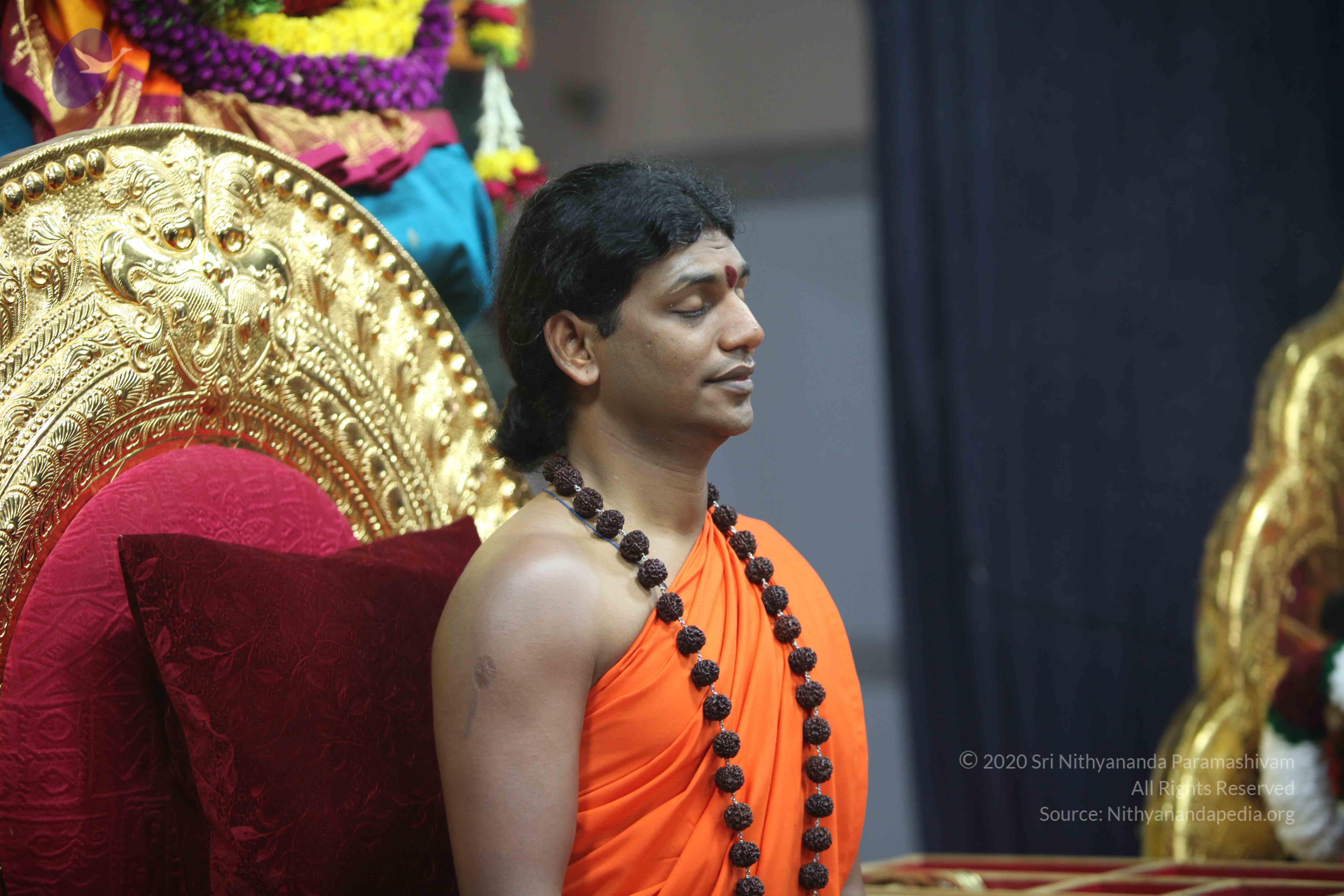 20101119_Photo_1003_IMG_8951_CMP_WM