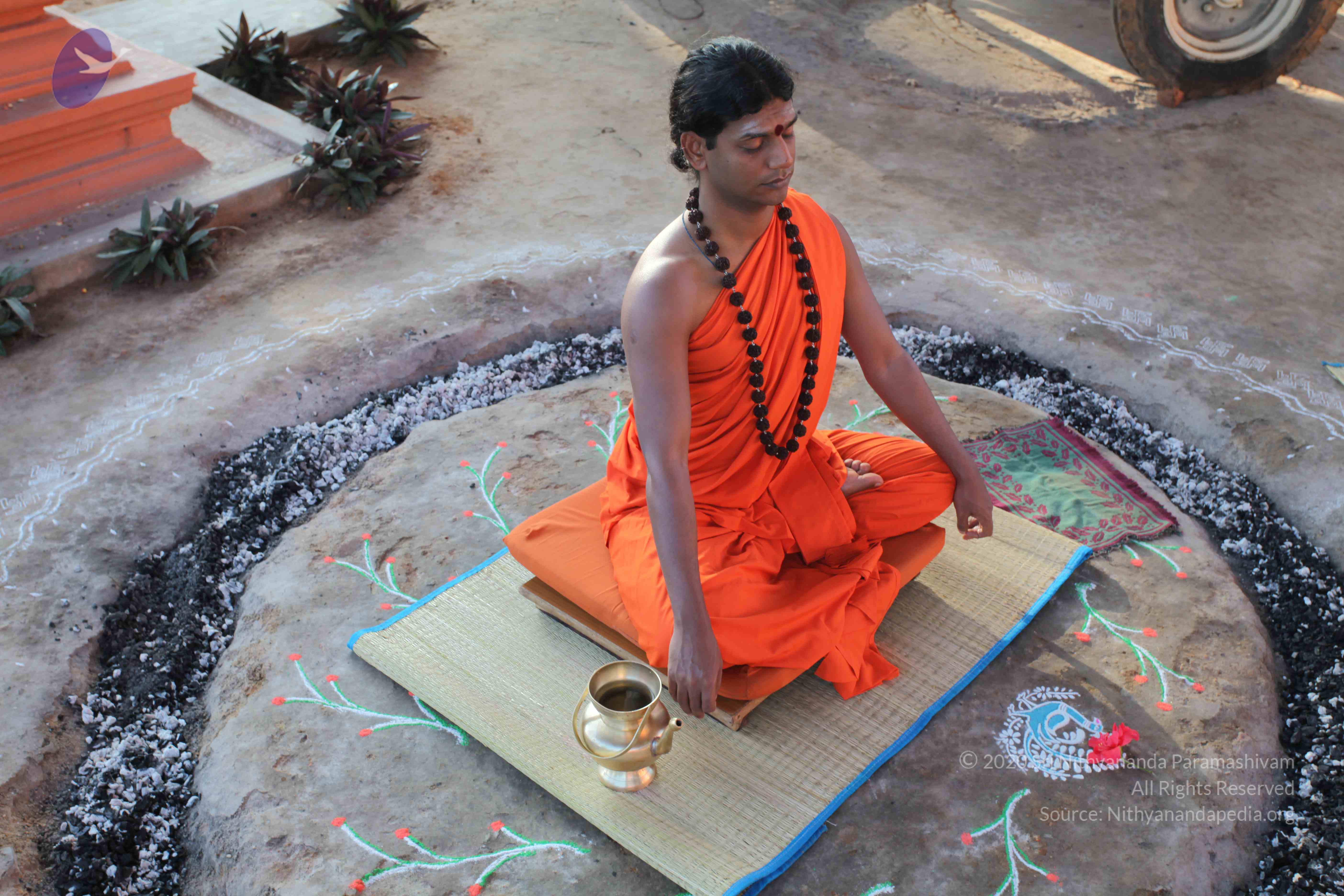 20101119_Photo_1005_IMG_8845_CMP_WM