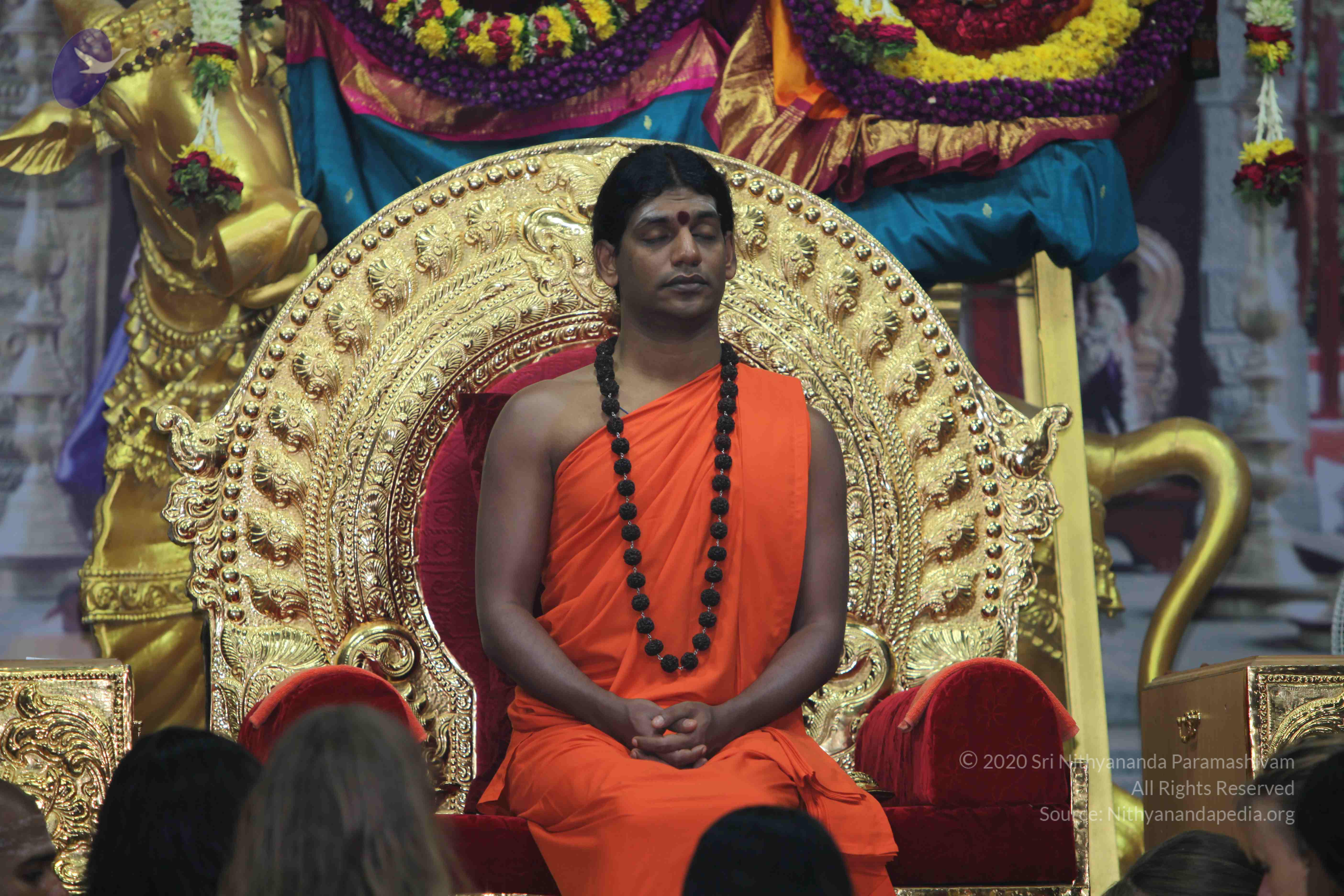 20101119_Photo_1012_IMG_8909_CMP_WM