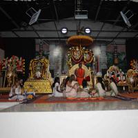 20101119_Photo_1014_IMG_8863_CMP_WM