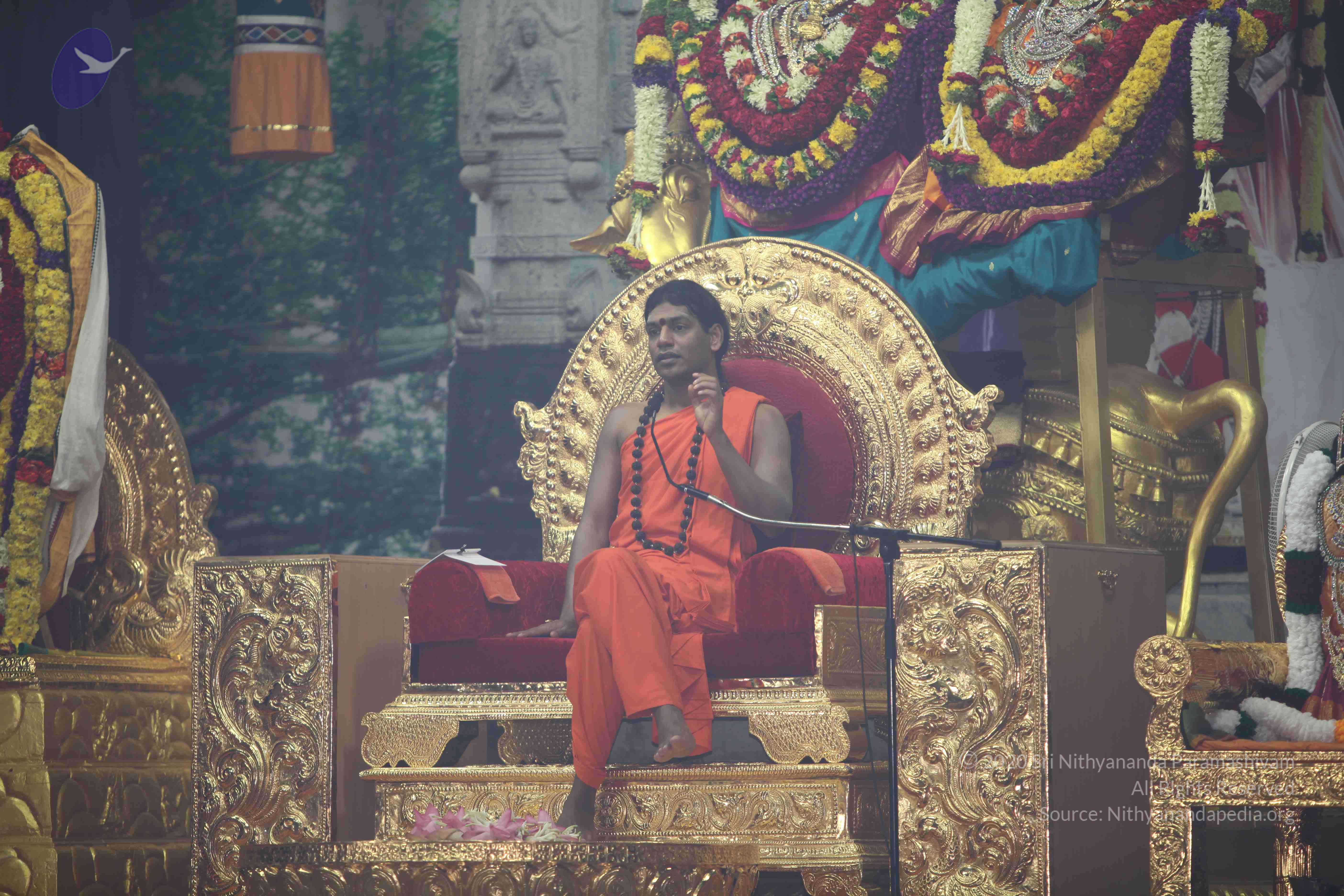 20101119_Photo_1018_IMG_9003_CMP_WM