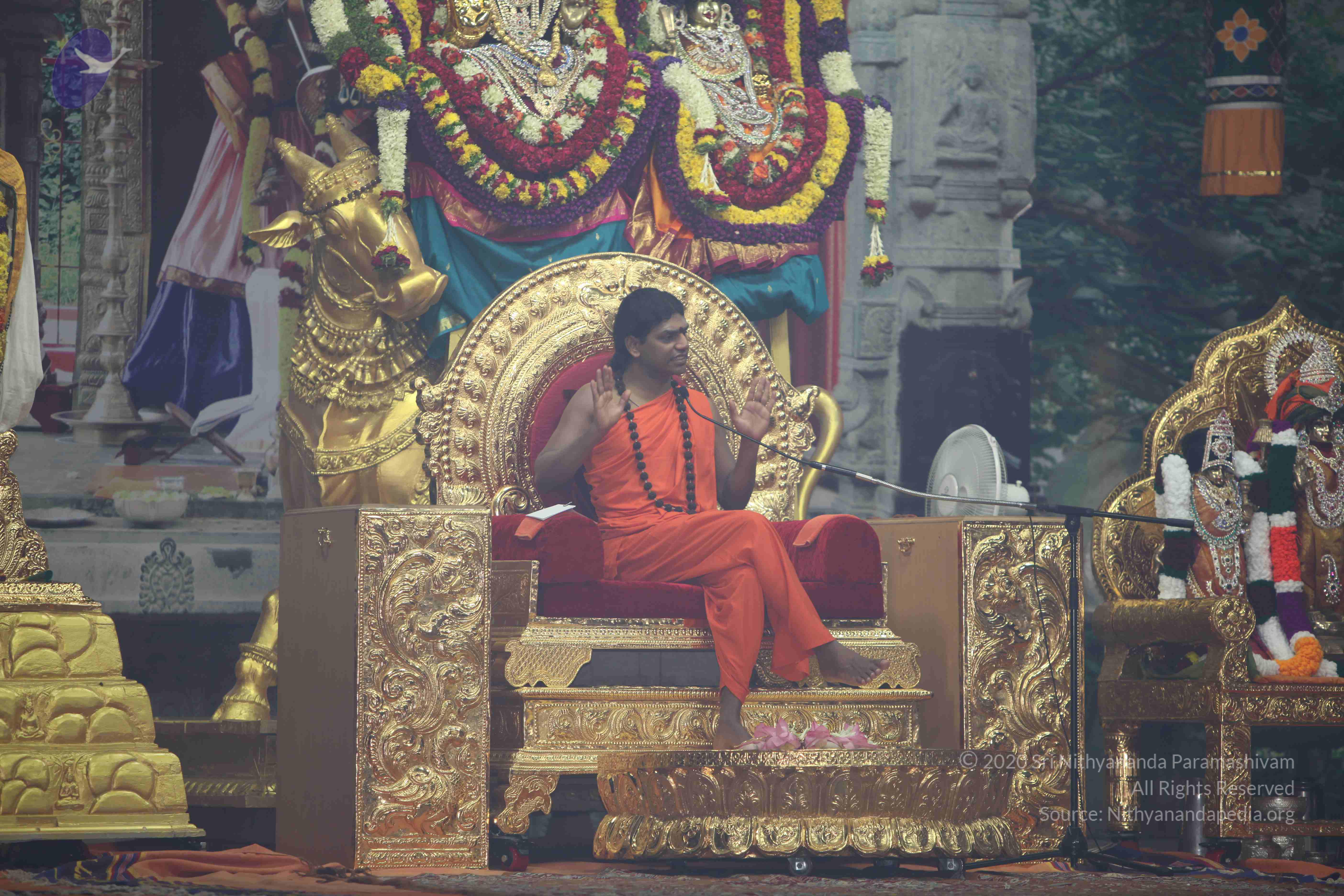 20101119_Photo_1021_IMG_8972_CMP_WM