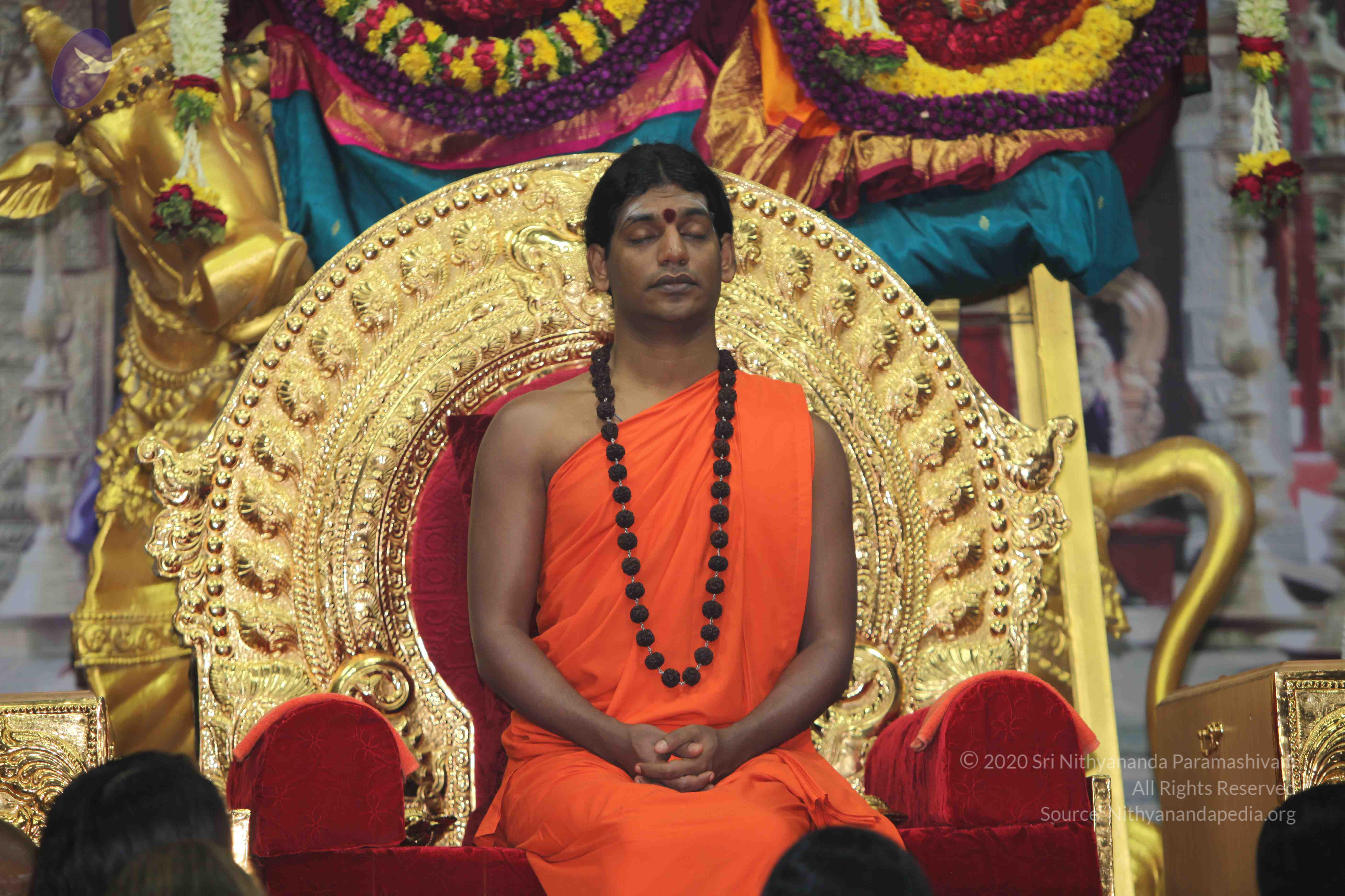 20101119_Photo_1025_IMG_8910_CMP_WM