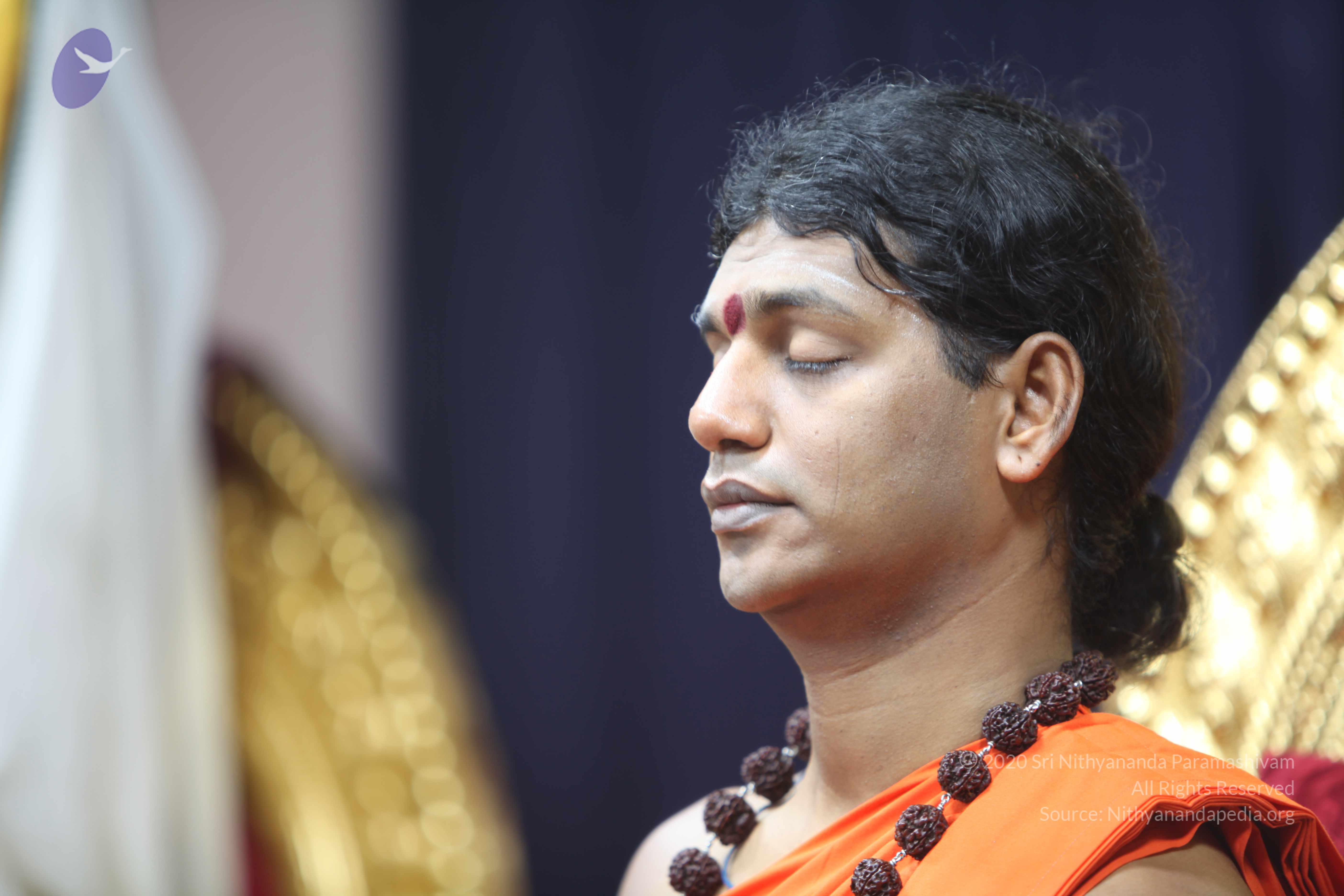 20101119_Photo_1029_IMG_8899_CMP_WM