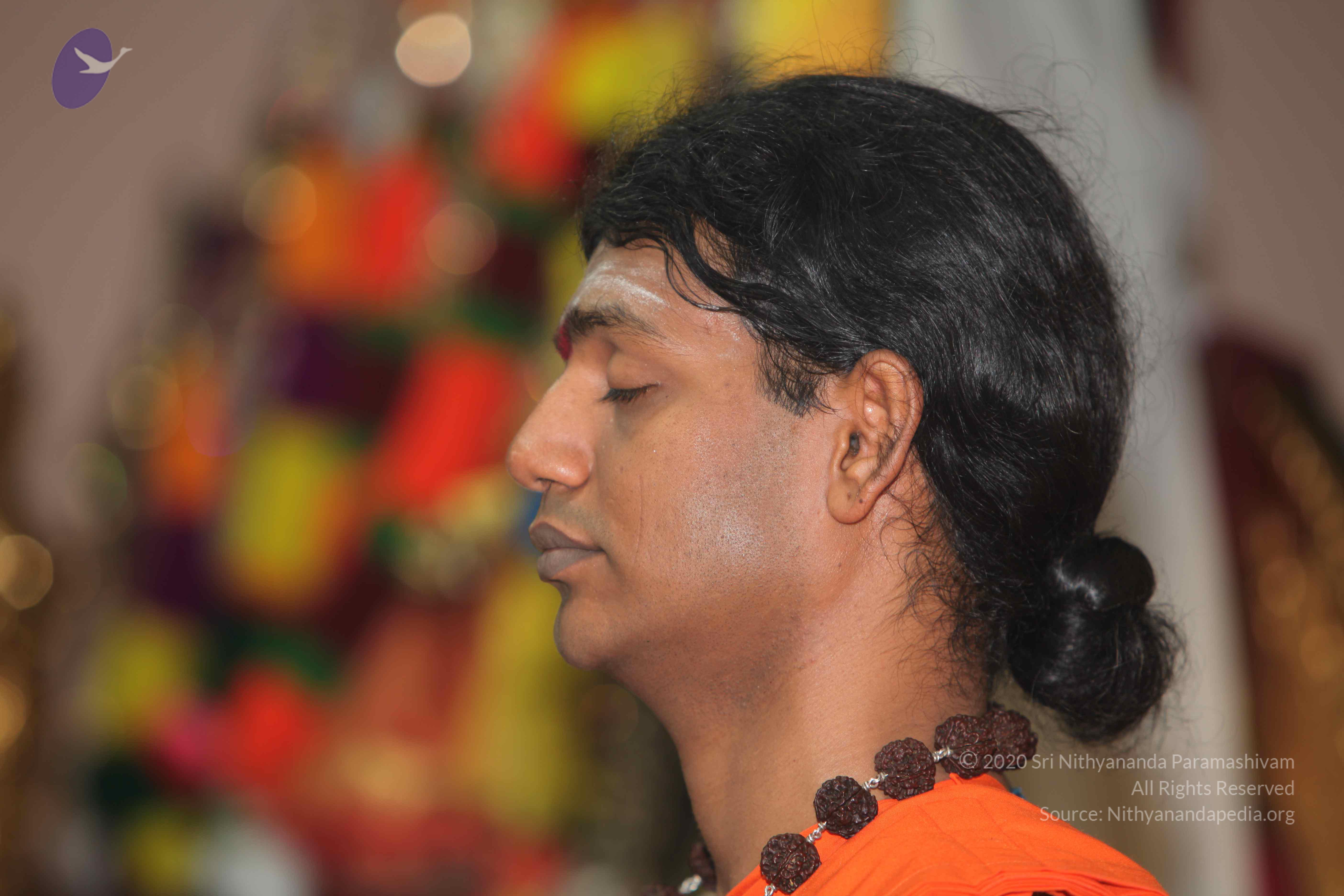 20101119_Photo_1030_IMG_8888_CMP_WM